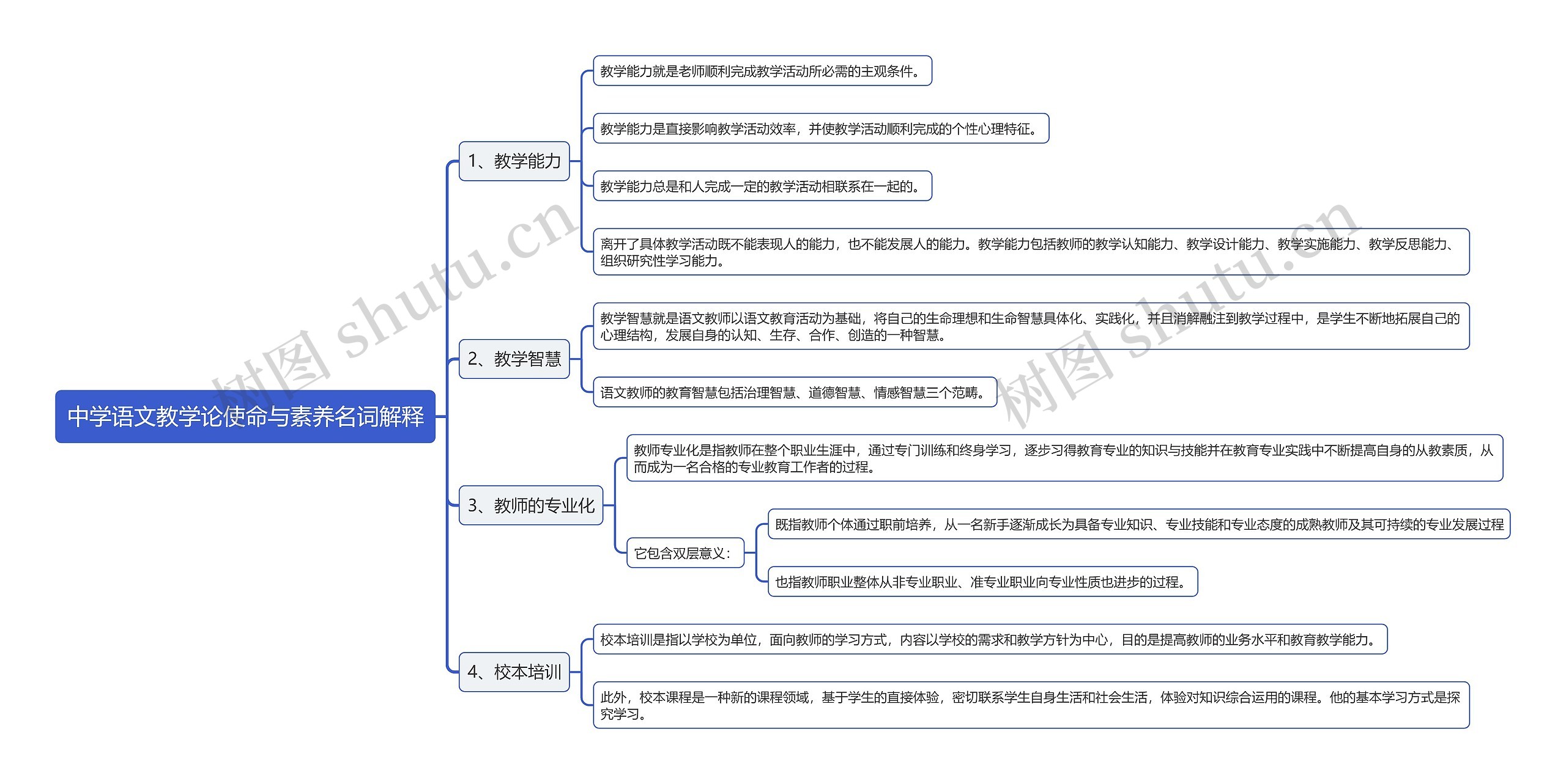 中学语文教学论使命与素养名词解释