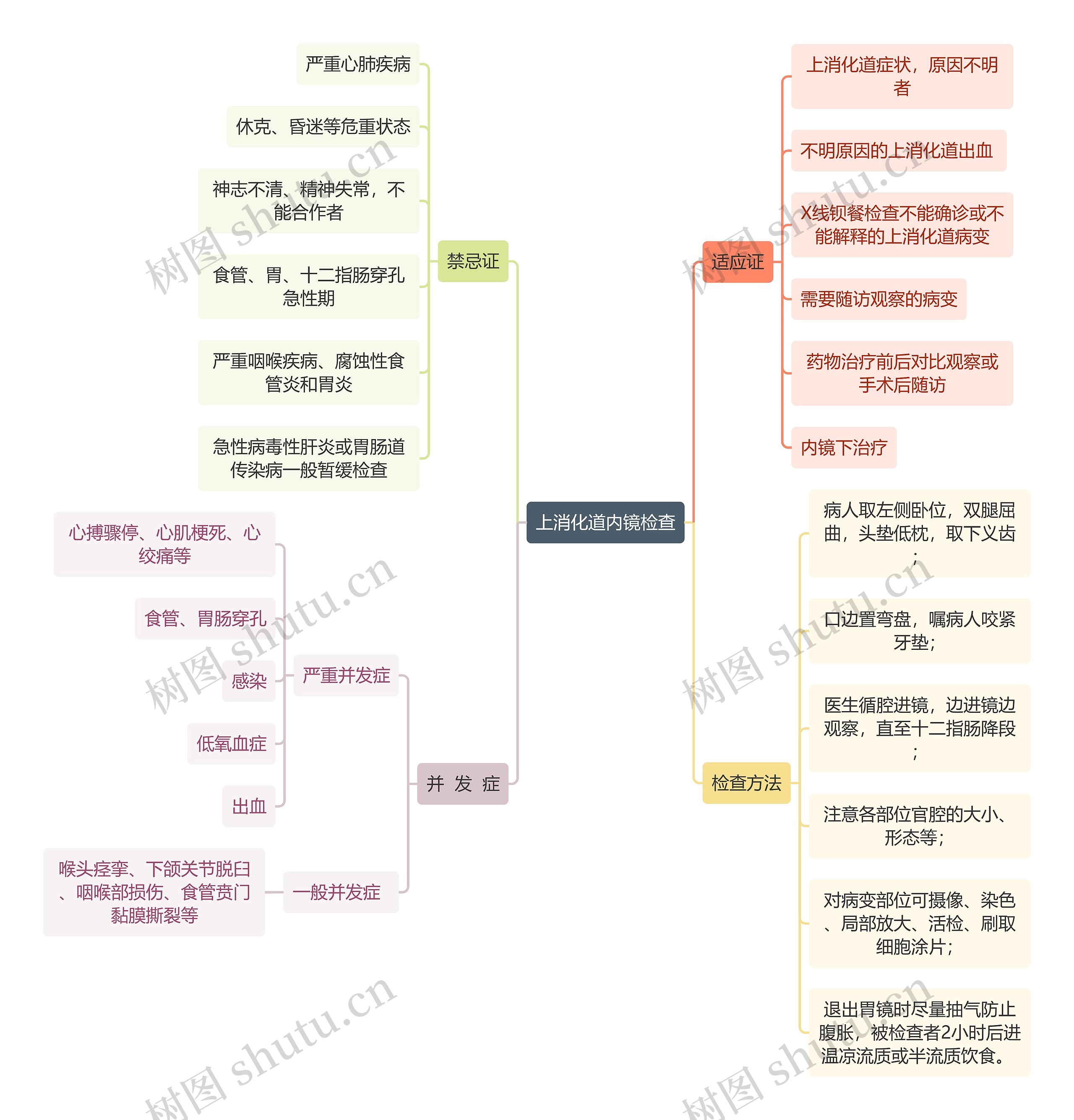 医学知识上消化道内镜检查思维导图