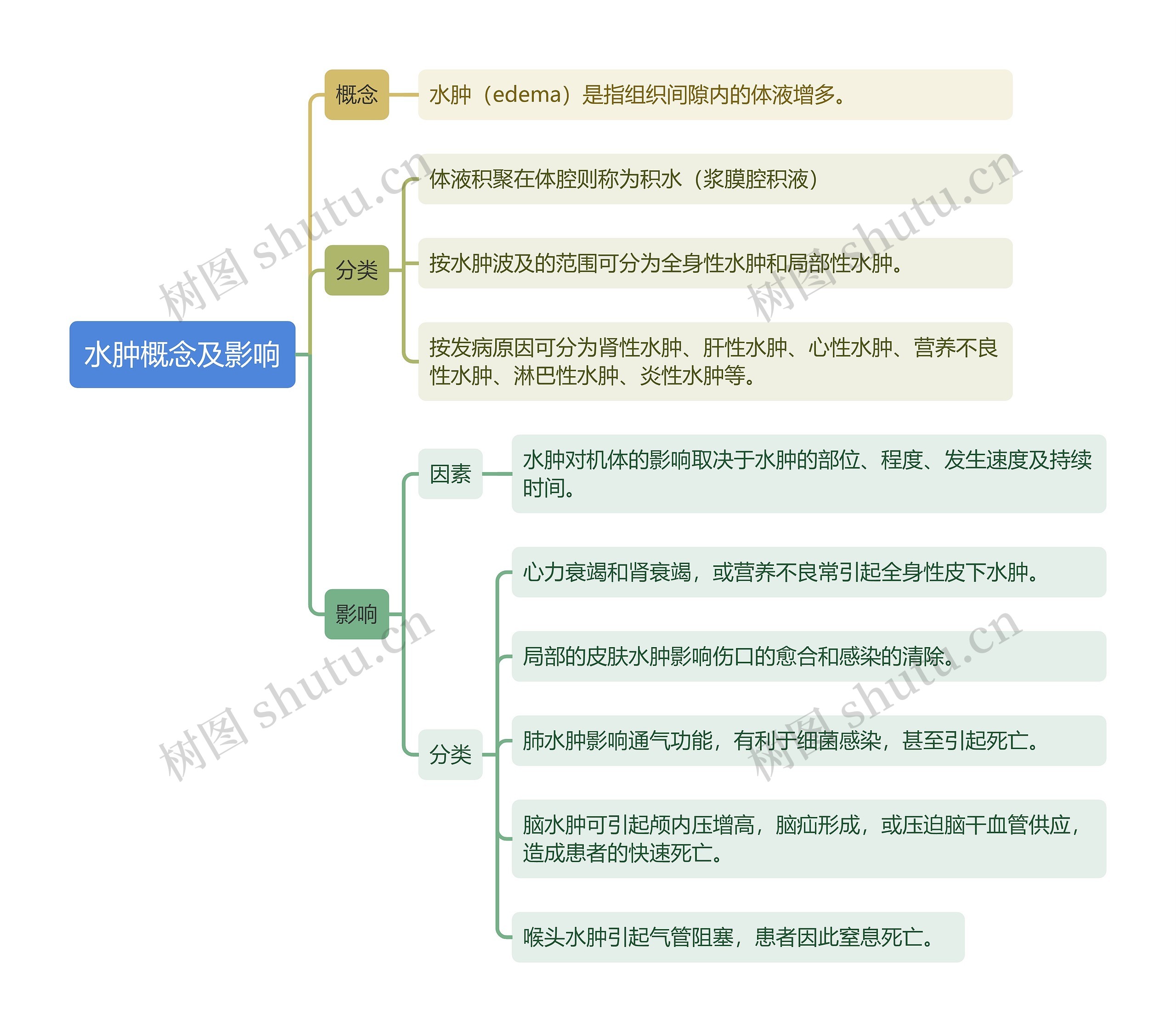 水肿概念及影响思维导图