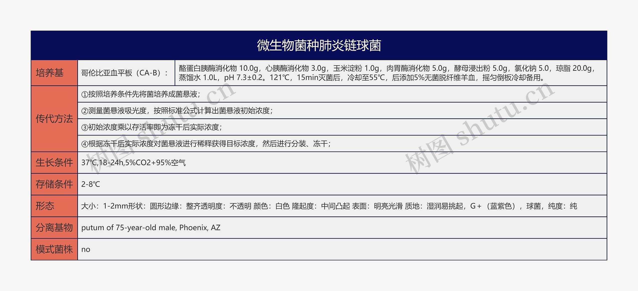 微生物菌种肺炎链球菌思维导图