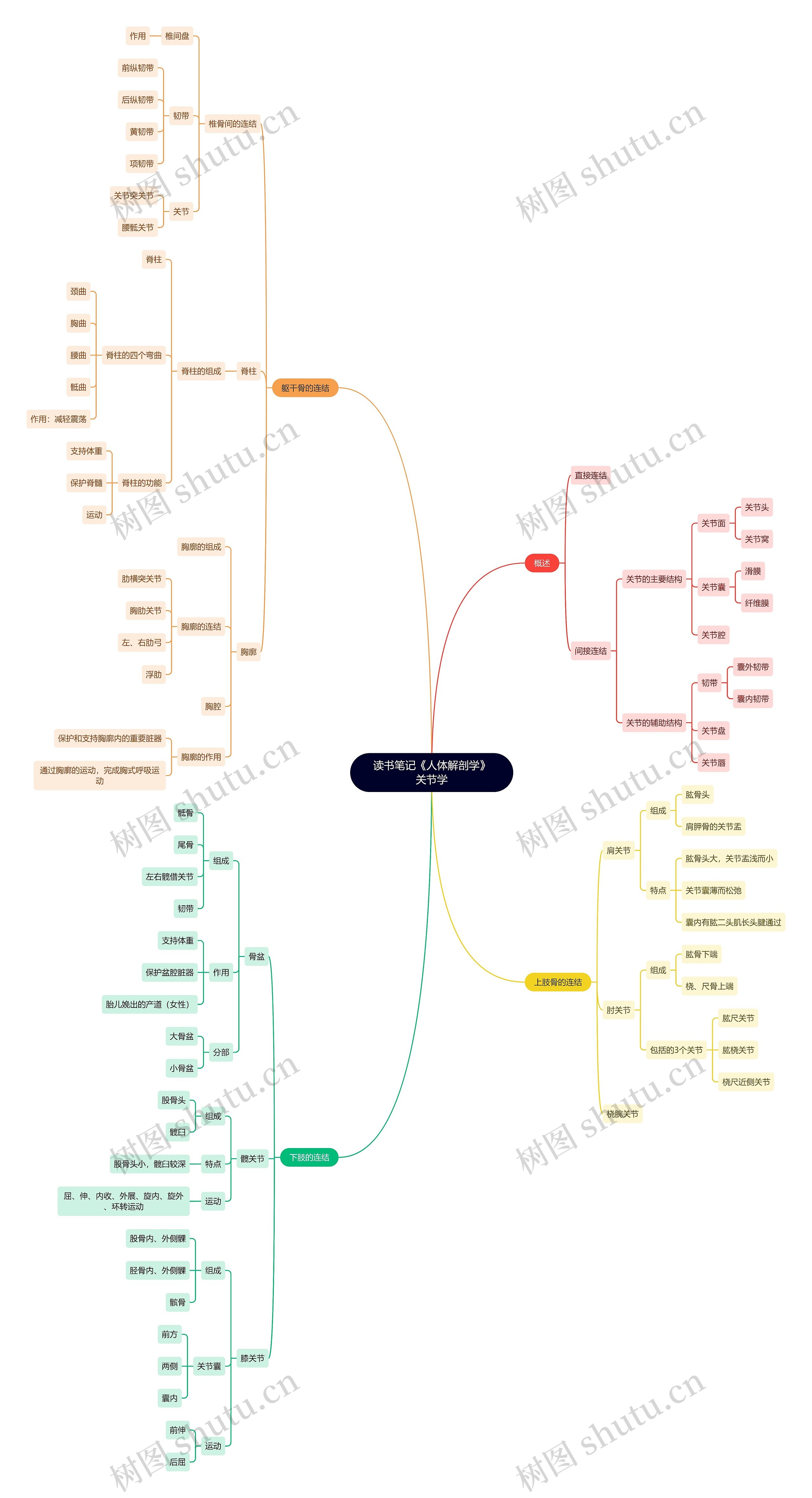 读书笔记《人体解剖学》关节学思维导图