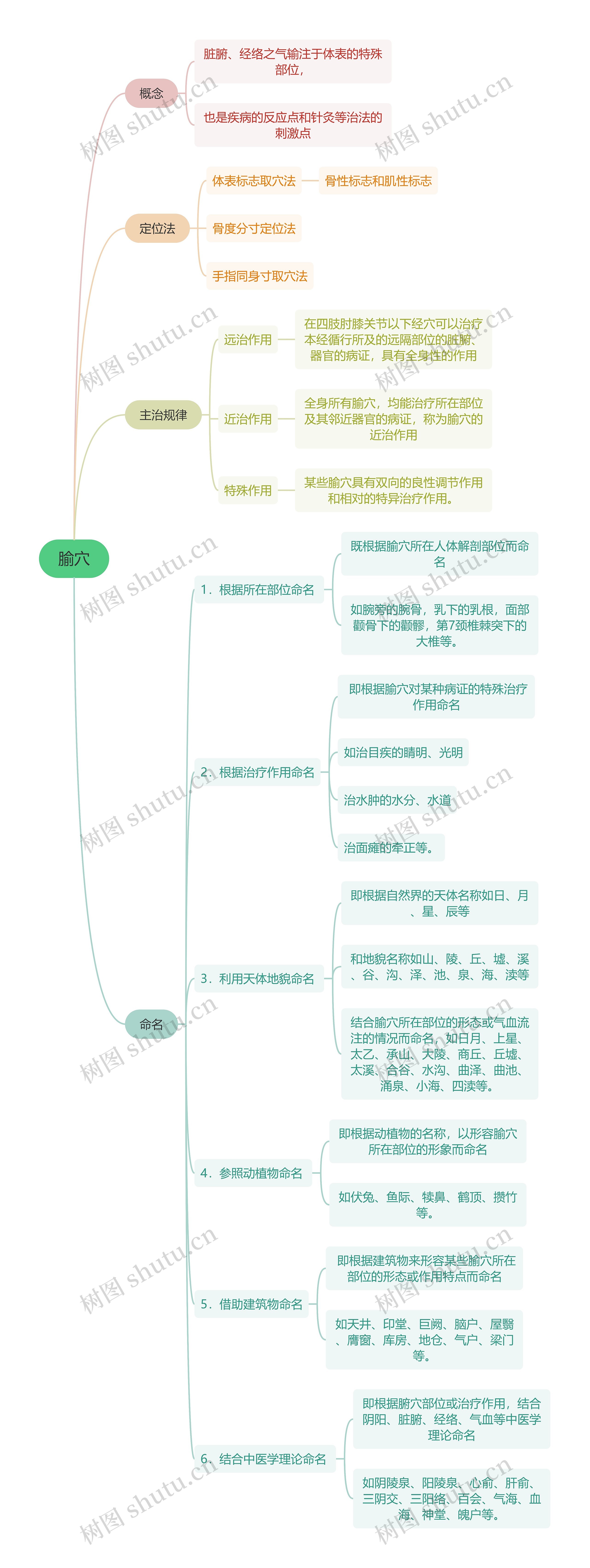 中医知识腧穴思维导图