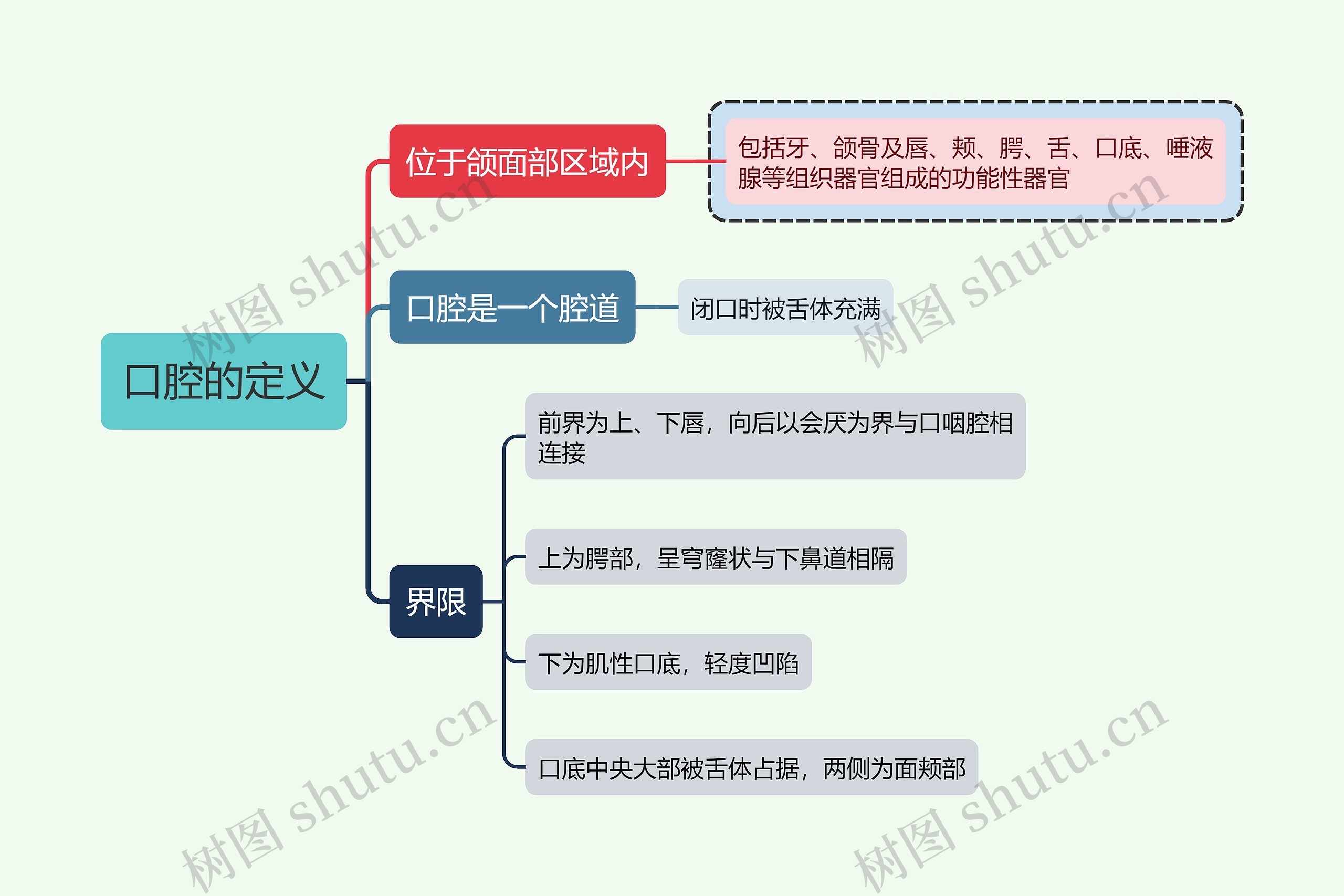 医学知识口腔的定义思维导图