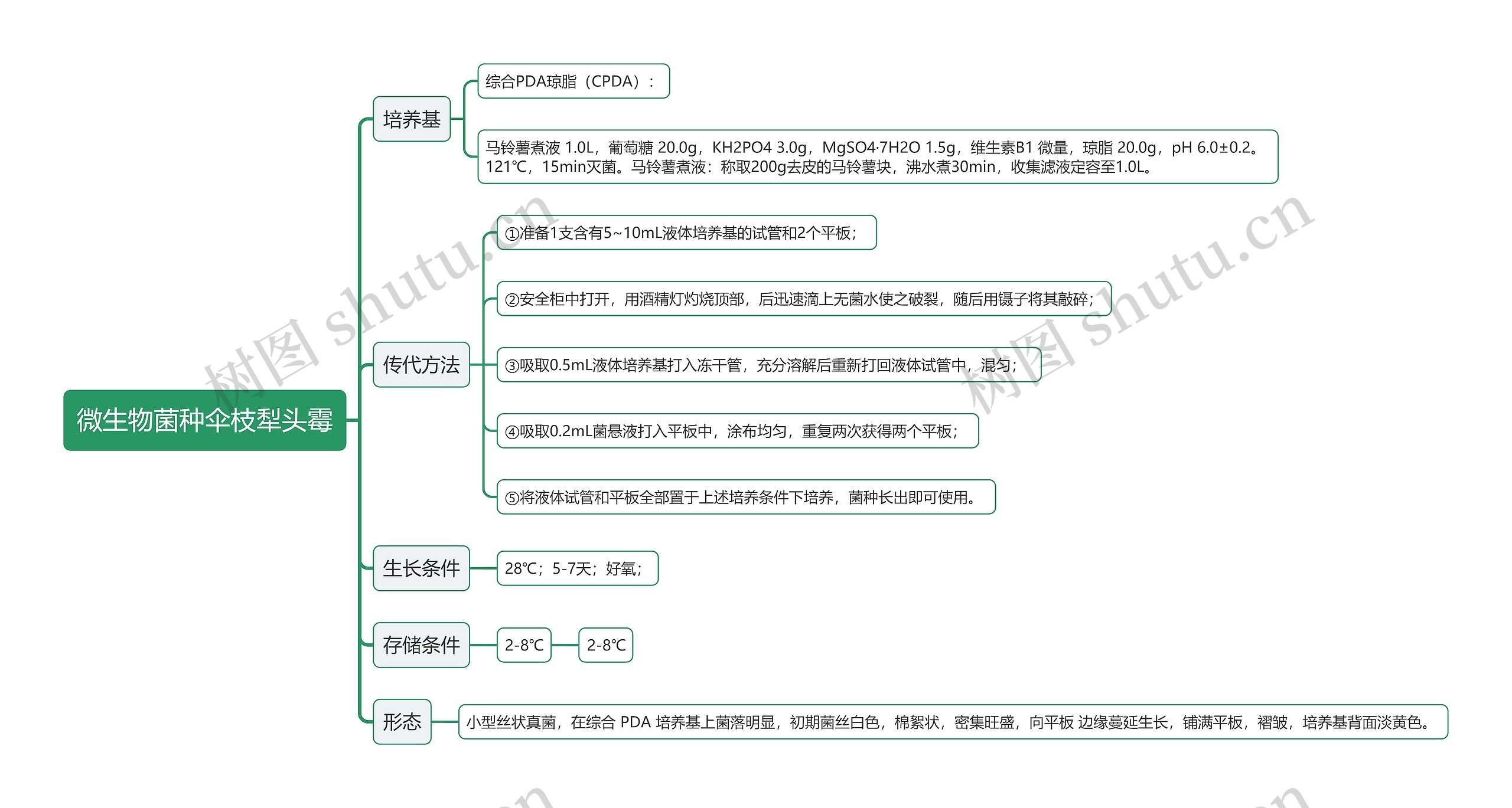 微生物菌种伞枝犁头霉思维导图