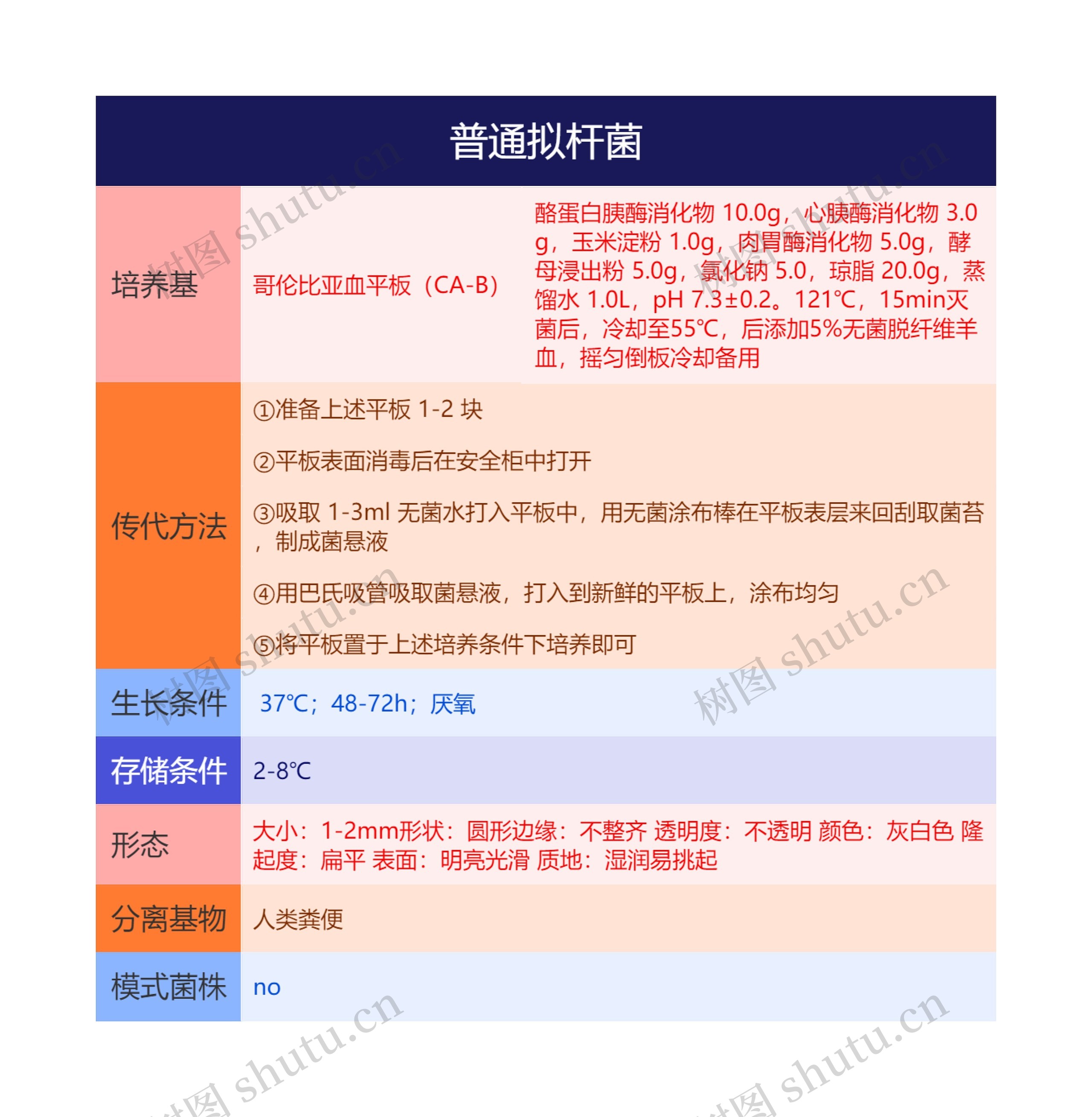 普通拟杆菌思维导图