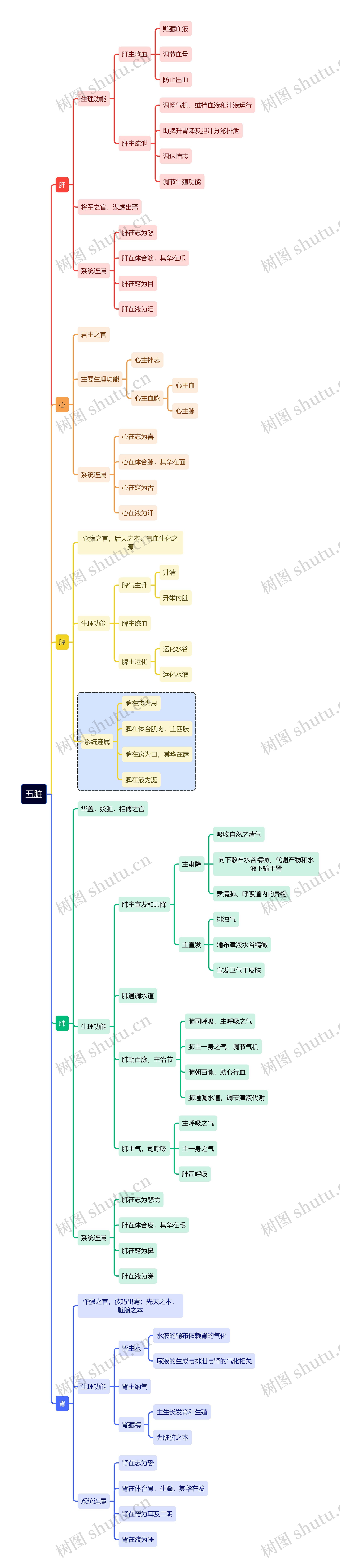 医学知识五脏思维导图