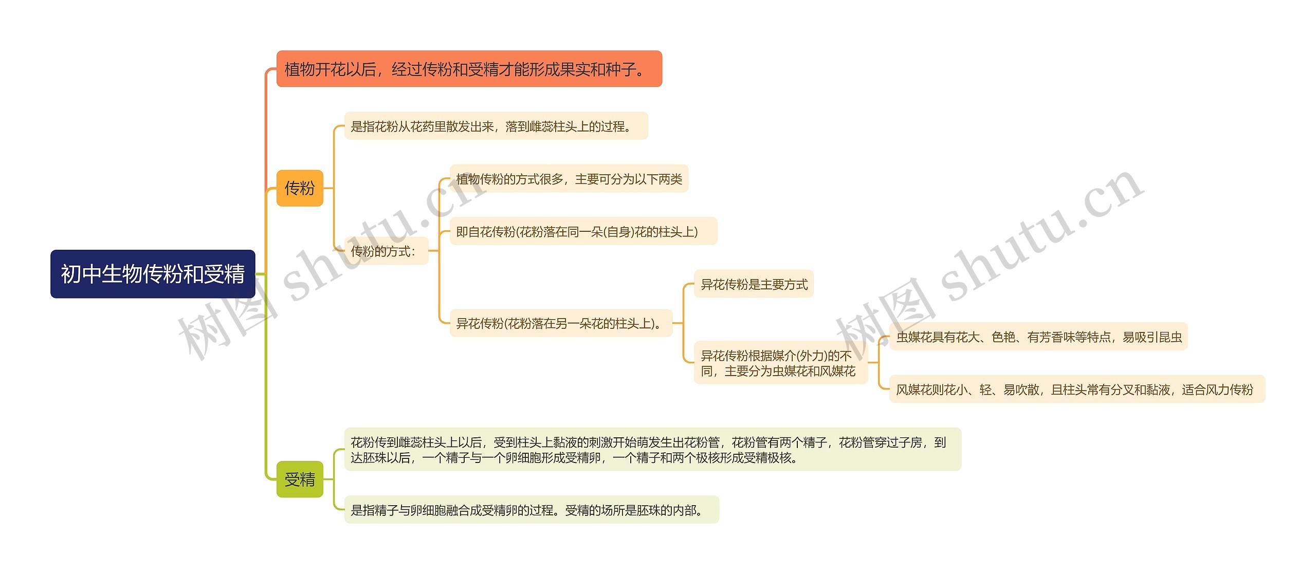 初中生物传粉和受精思维导图