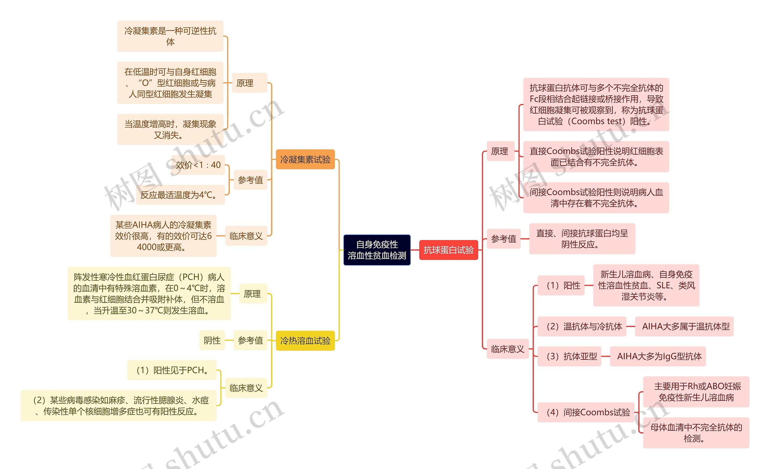 医学知识自身免疫性溶血性贫血检测思维导图