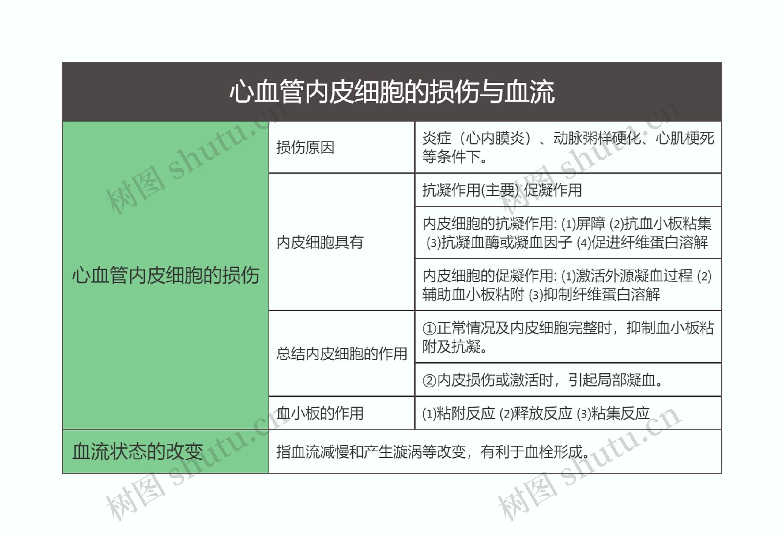 病理学   心血管内皮细胞的损伤与血流思维导图