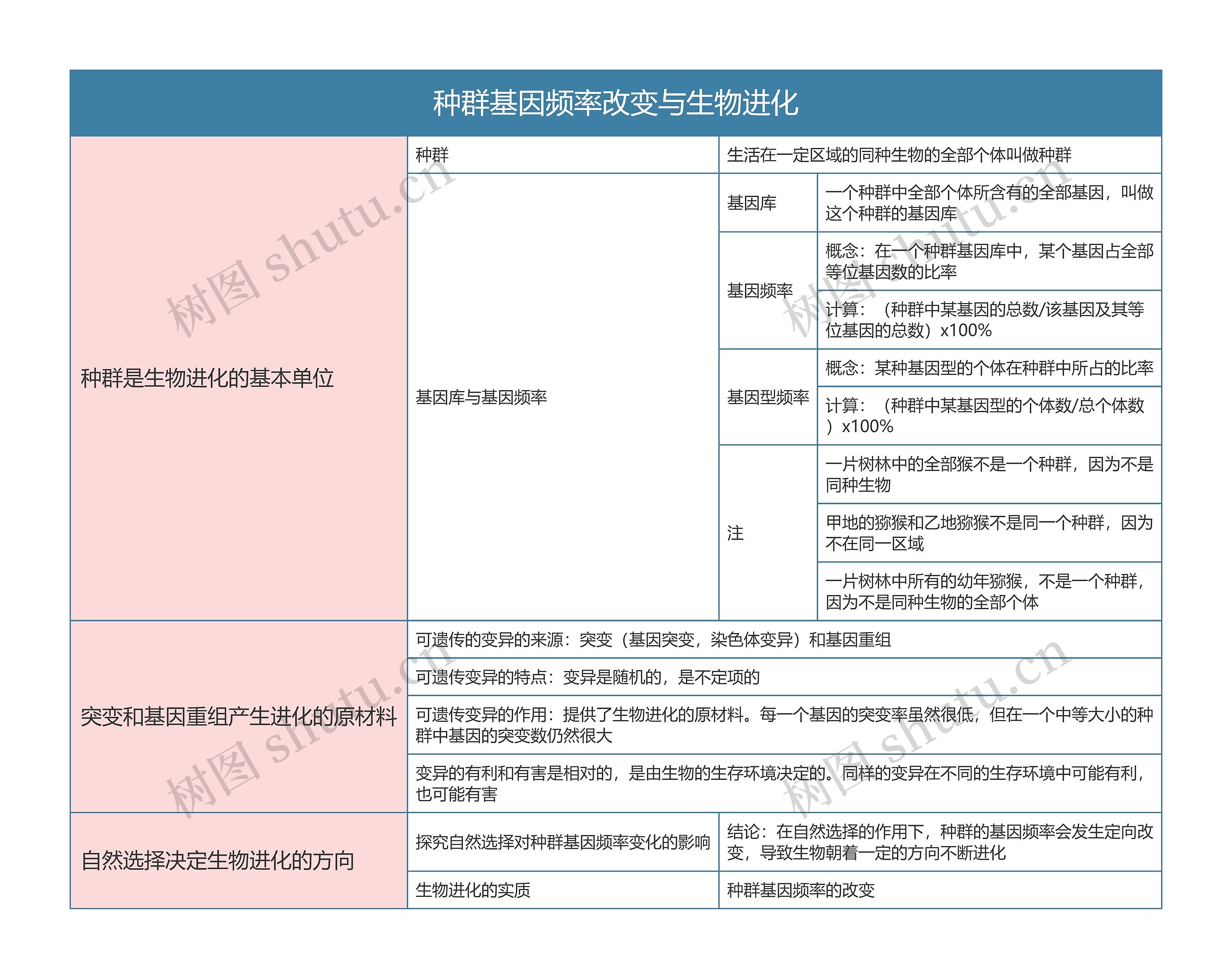 高中生物必修二种群基因频率改变与生物进化思维导图高清图 高中生物必修二种群基因频率改变与生物进化思维导图