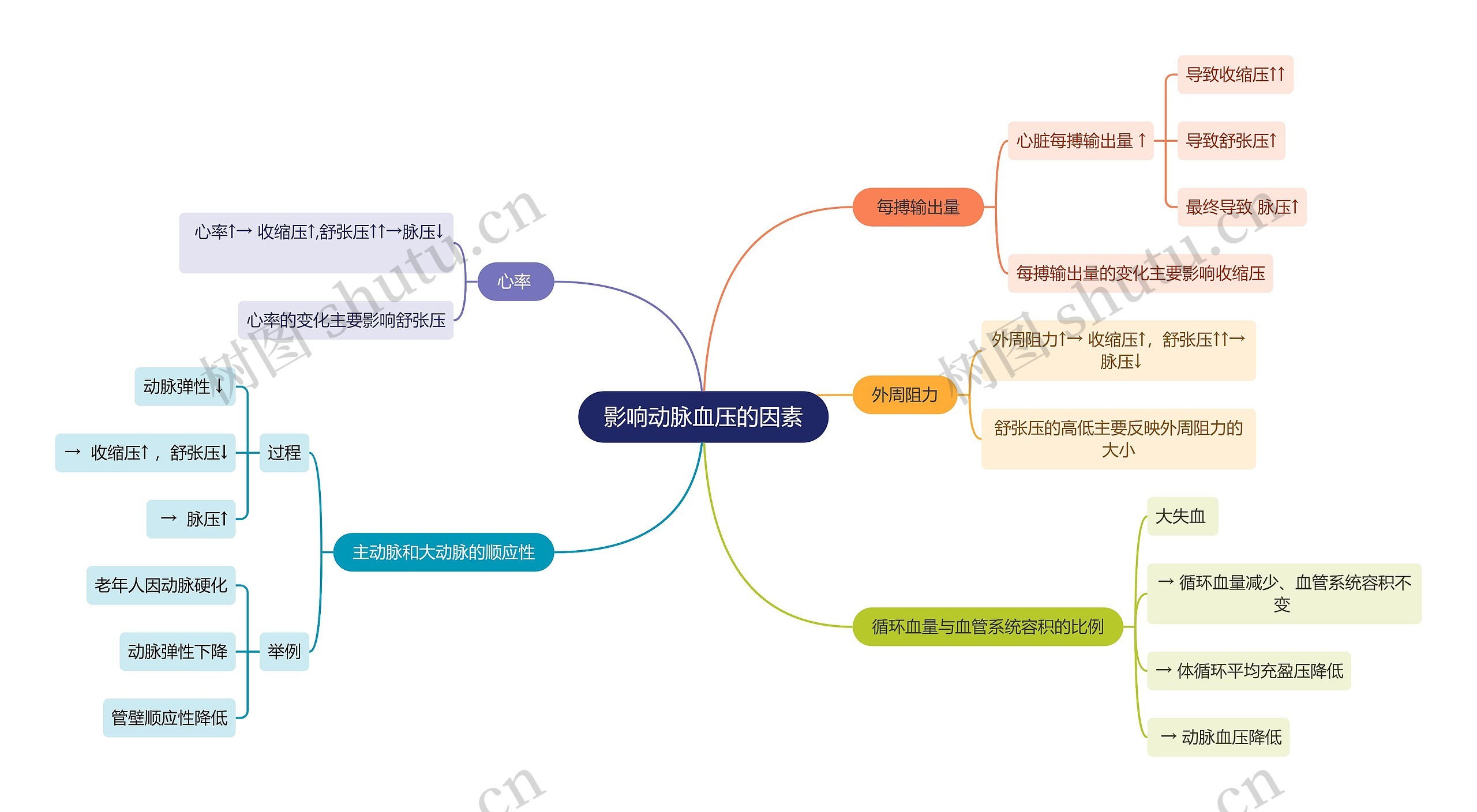 医学知识影响动脉血压的因素思维导图