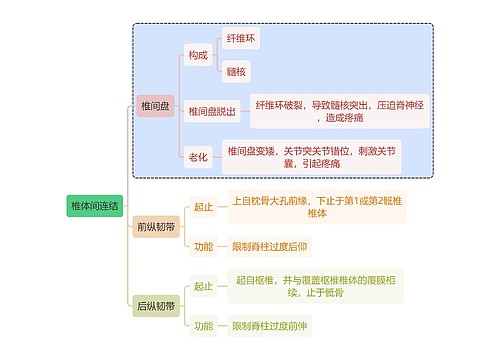 骨学知识椎体间连结思维导图