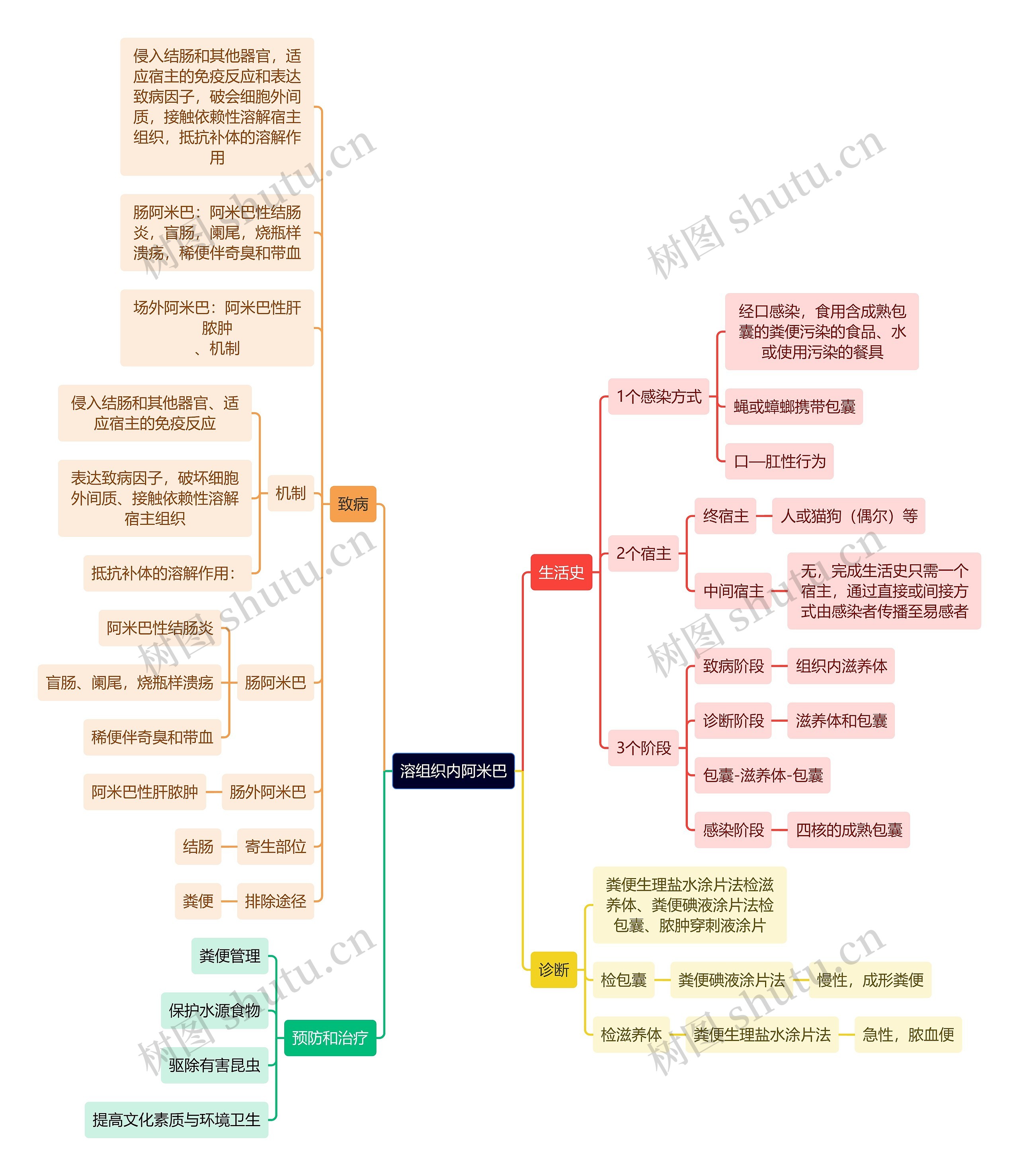 医学知识溶组织内阿米巴思维导图