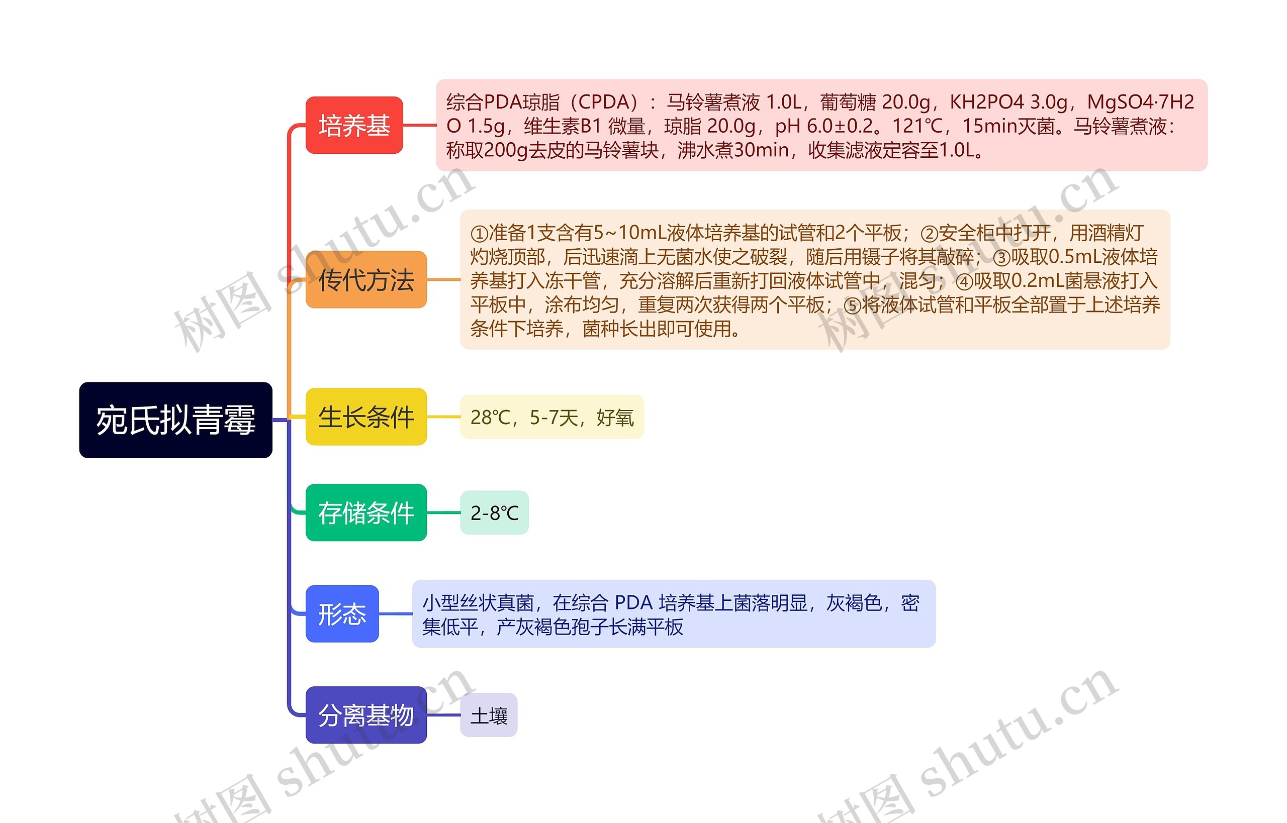 宛氏拟青霉