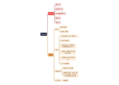 解剖学知识淋巴系统思维导图