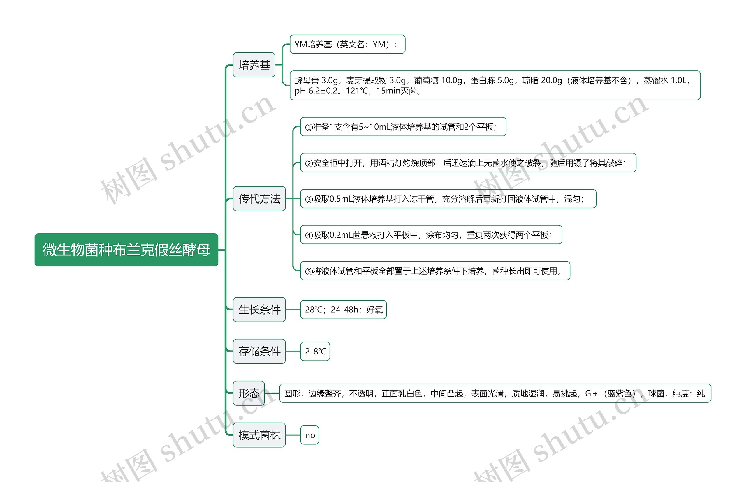 微生物菌种布兰克假丝酵母思维导图