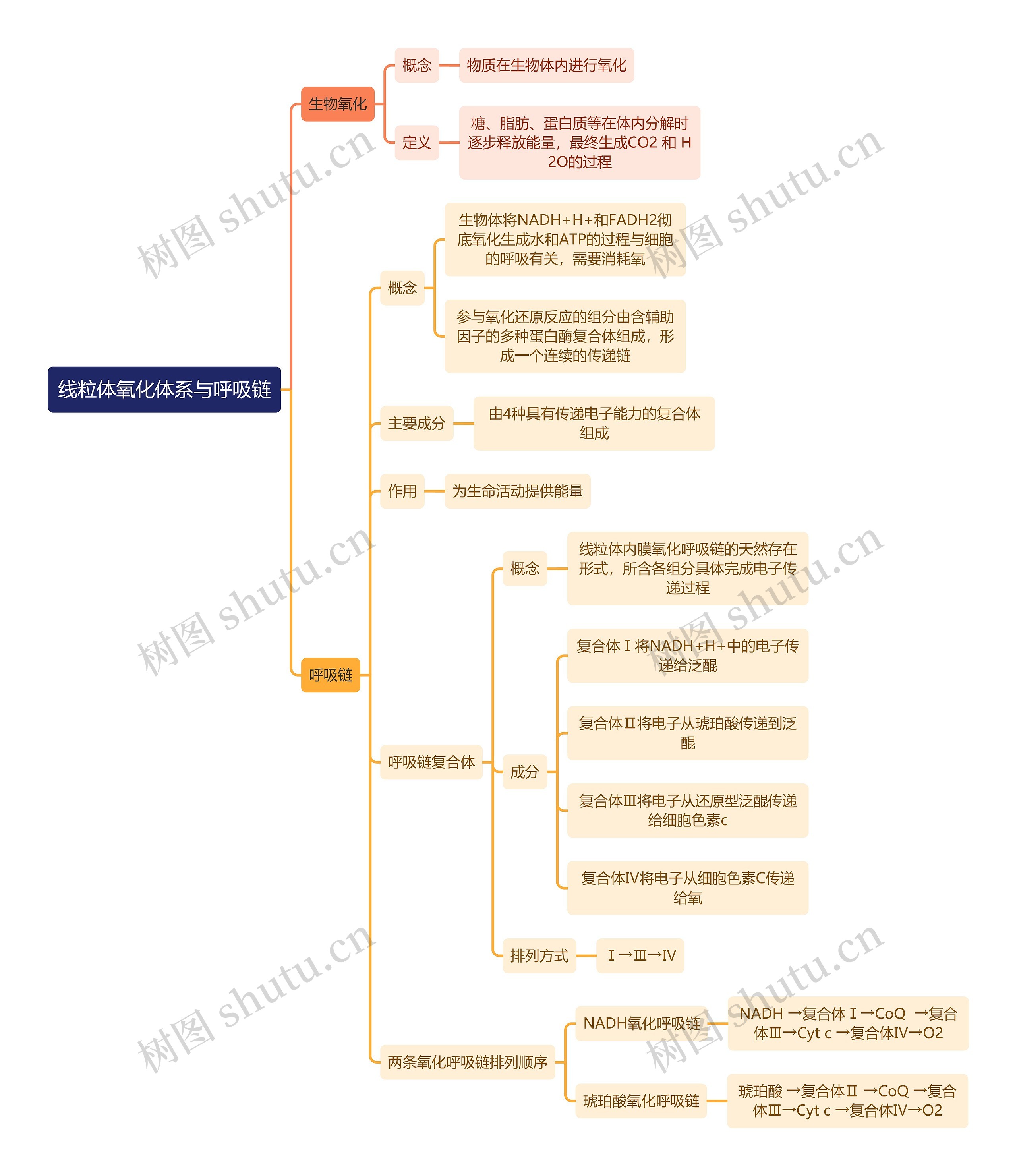 生化知识线粒体氧化体系与呼吸链思维导图