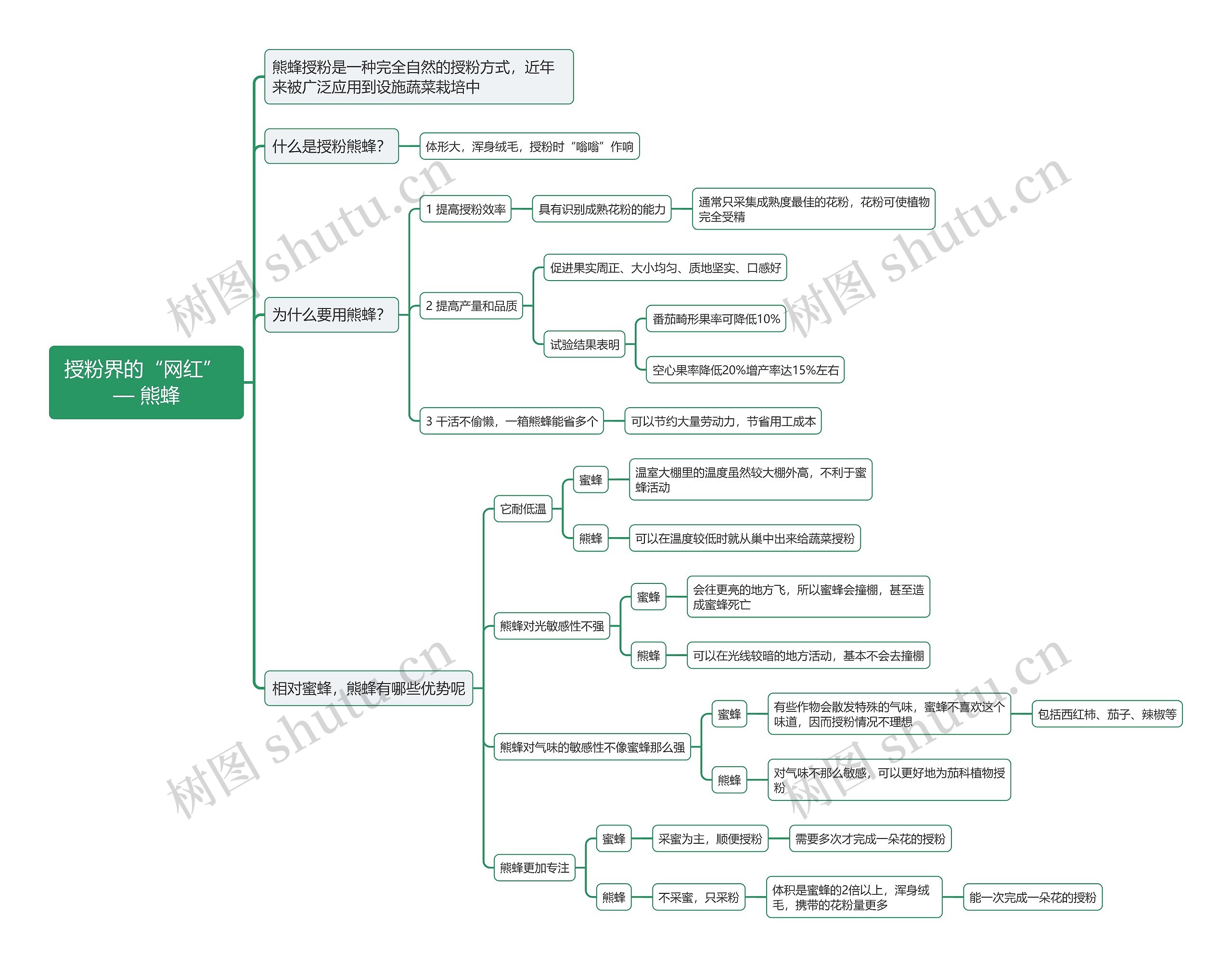 授粉界的“网红” — 熊蜂思维导图