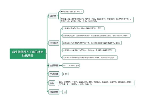 微生物菌种杰丁塞伯林德纳氏酵母思维导图思维导图