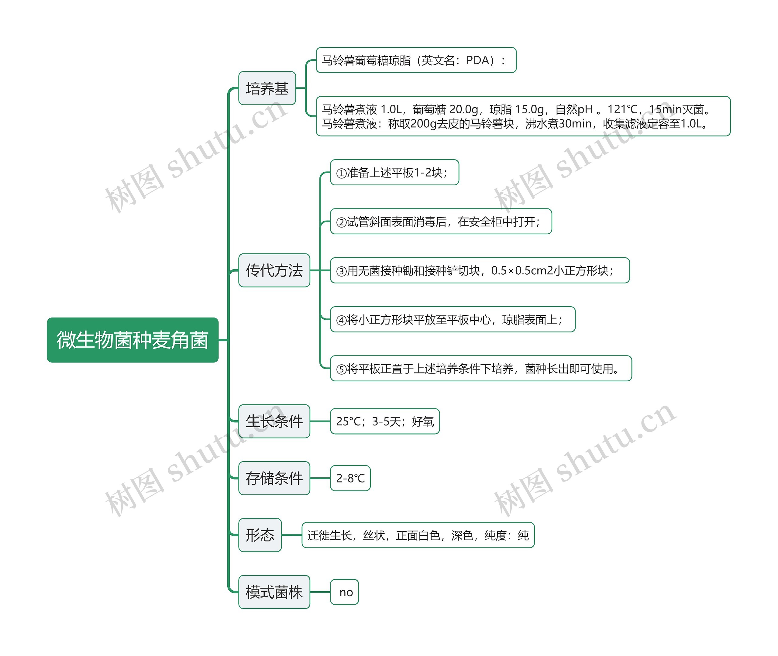 微生物菌种麦角菌思维导图