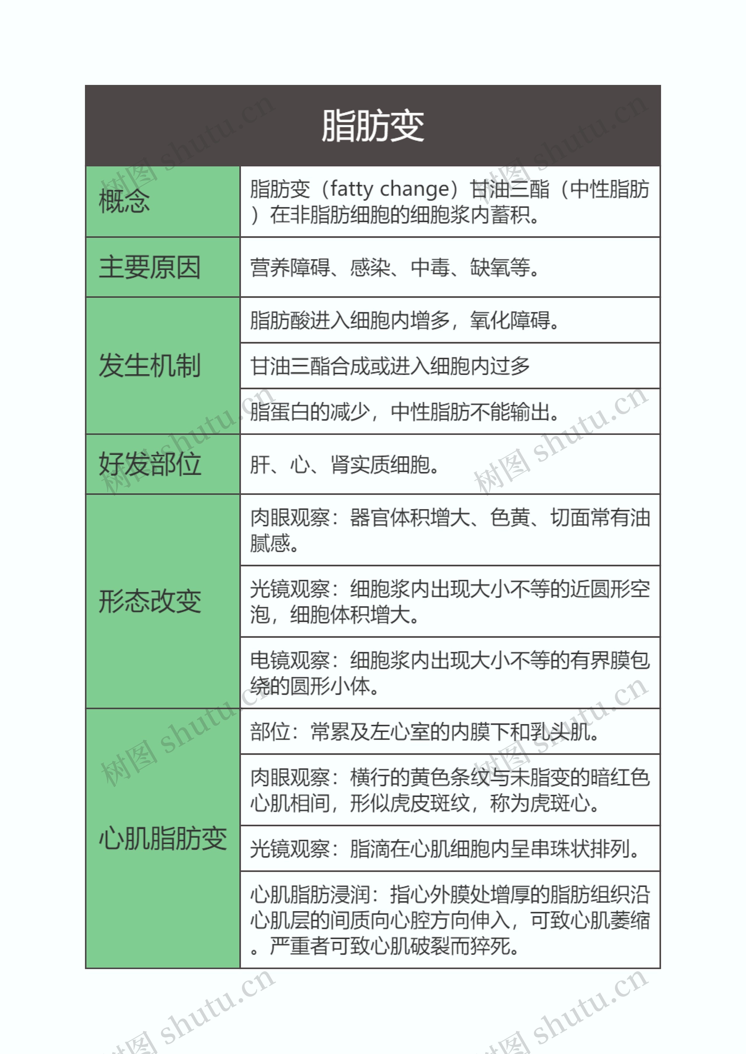 病理学  脂肪变思维导图