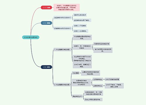 医学知识女性生殖的血管神经思维导图