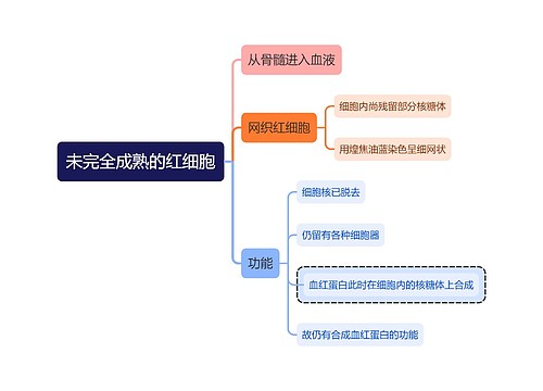 医学知识未完全成熟的红细胞思维导图