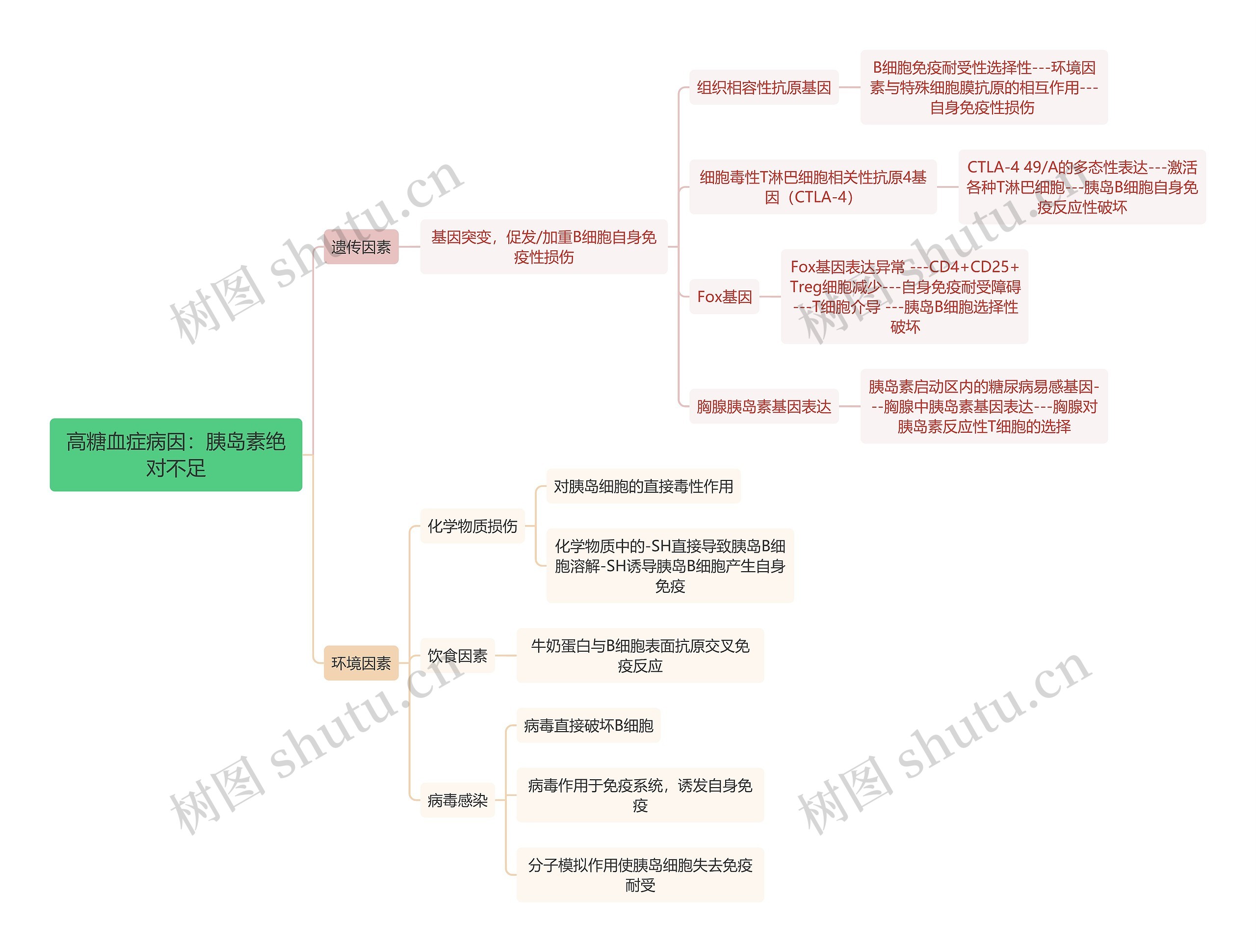 医学知识高糖血症病因：胰岛素绝对不足遗传因素等思维导图