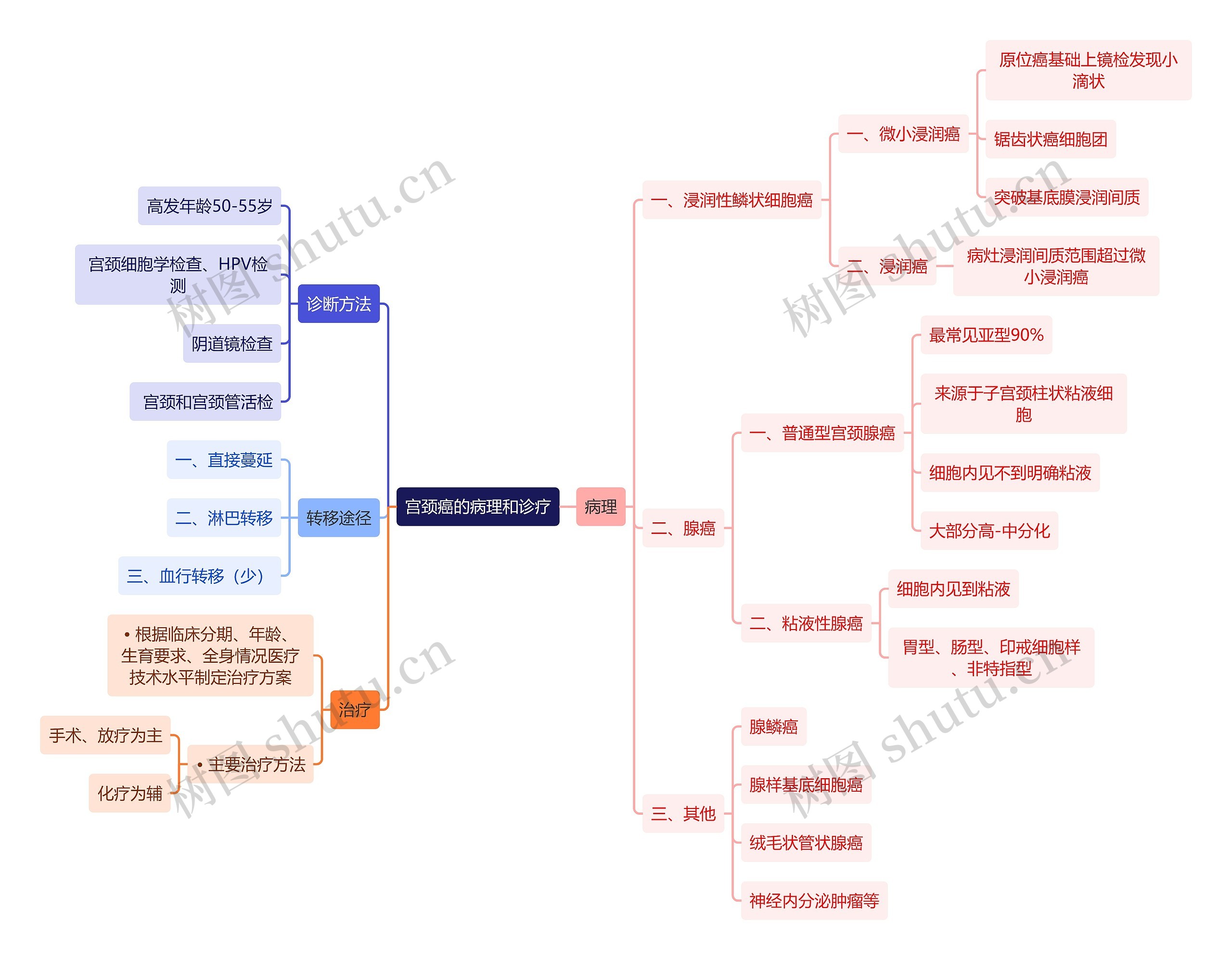 医学知识宫颈癌的病理和诊疗思维导图