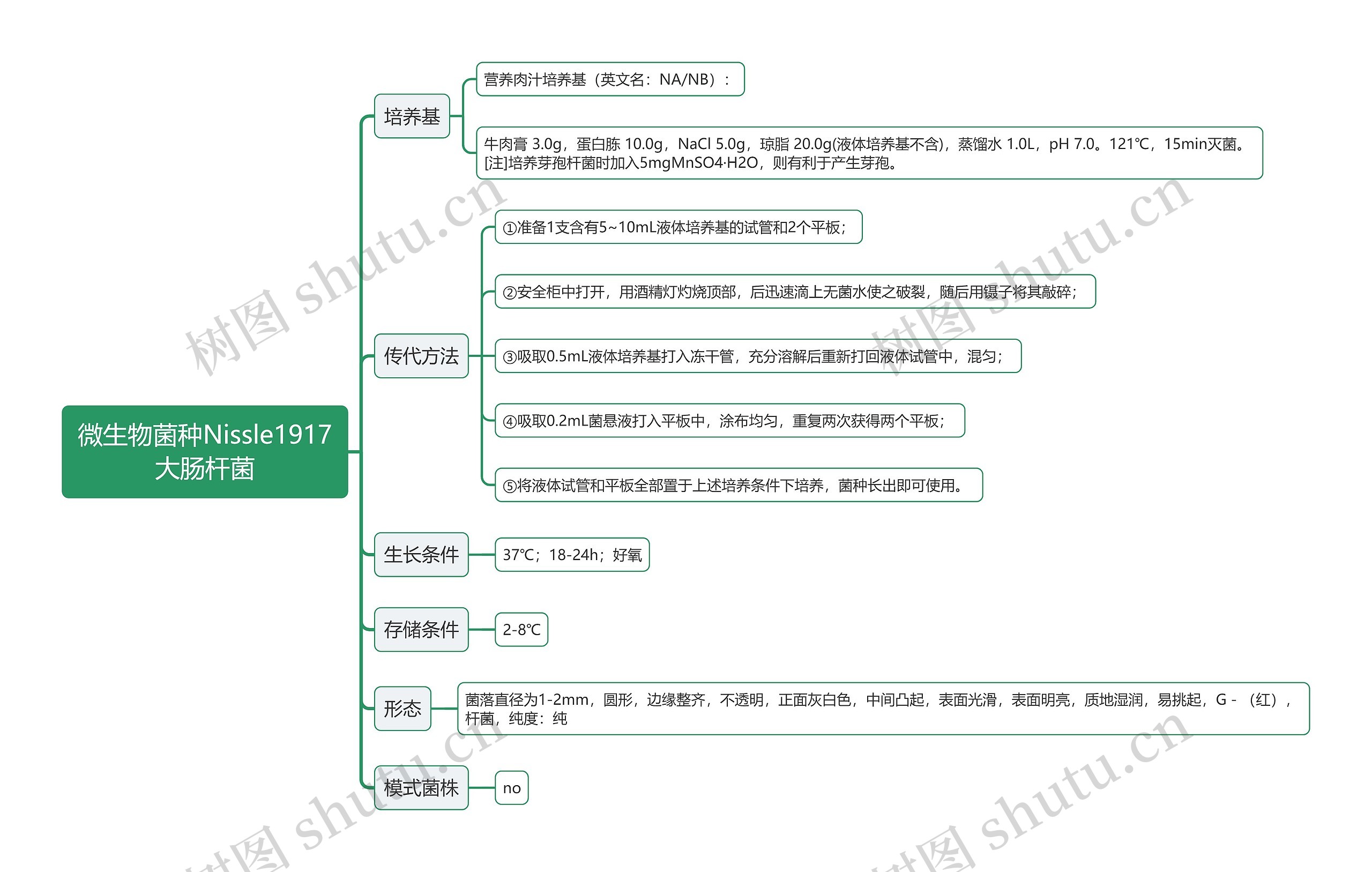 微生物菌种Nissle1917大肠杆菌思维导图