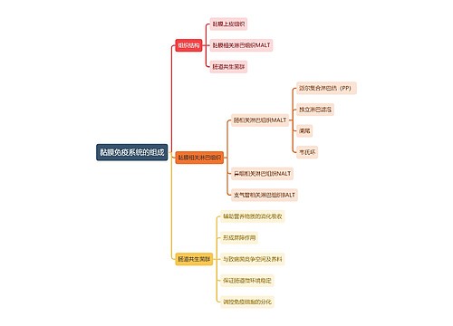 医学知识黏膜免疫系统的组成思维导图