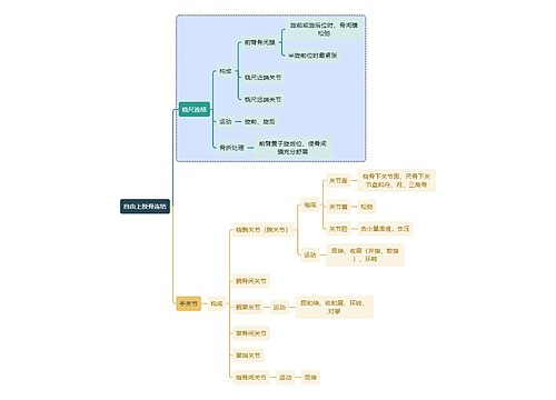 骨学知识自由上肢骨连结思维导图