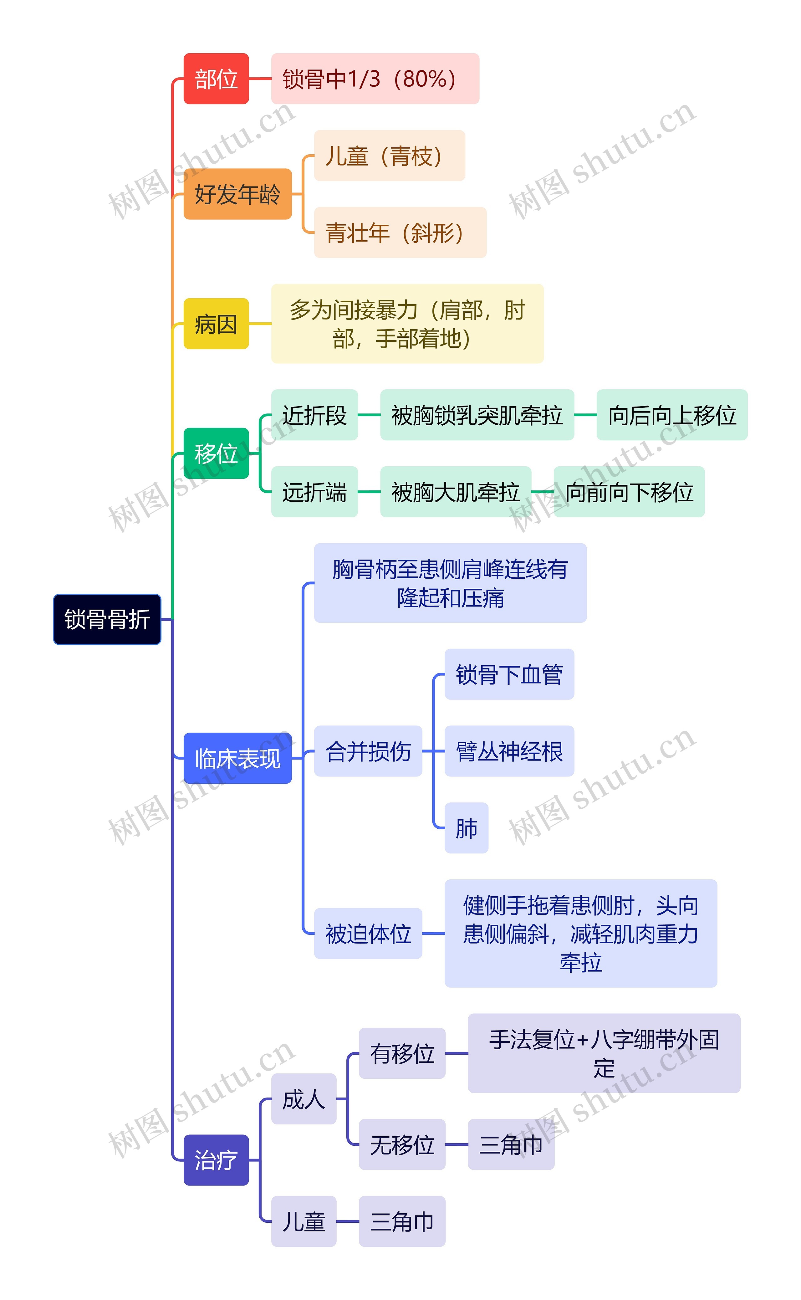 骨学知识锁骨骨折思维导图