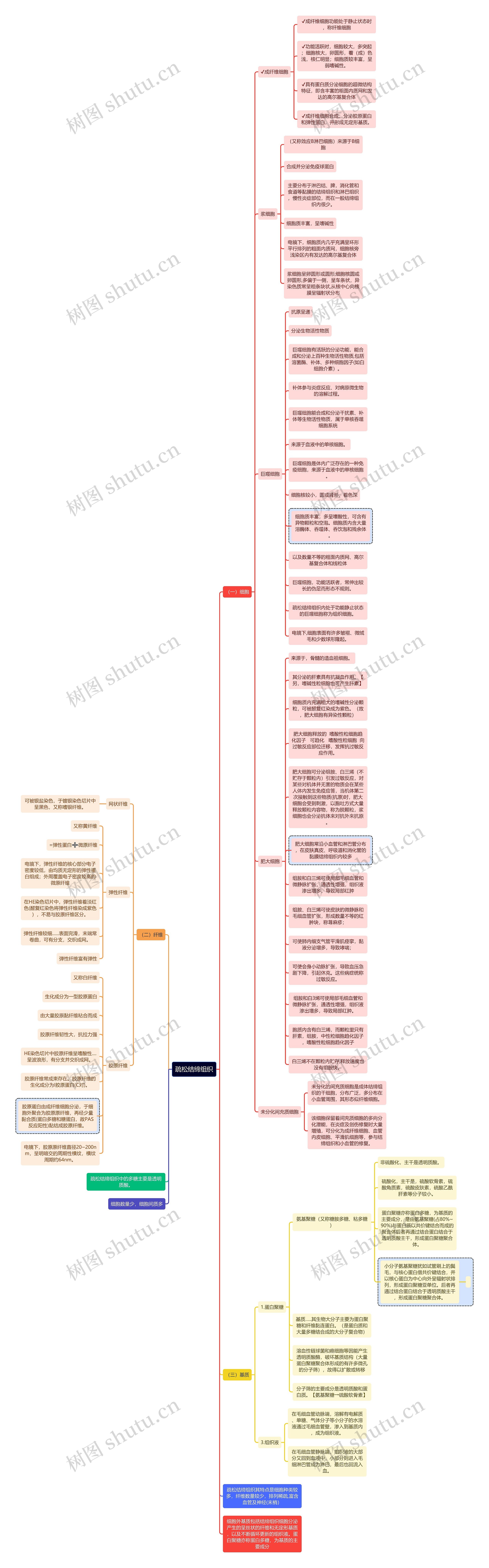医学知识疏松结缔组织思维导图