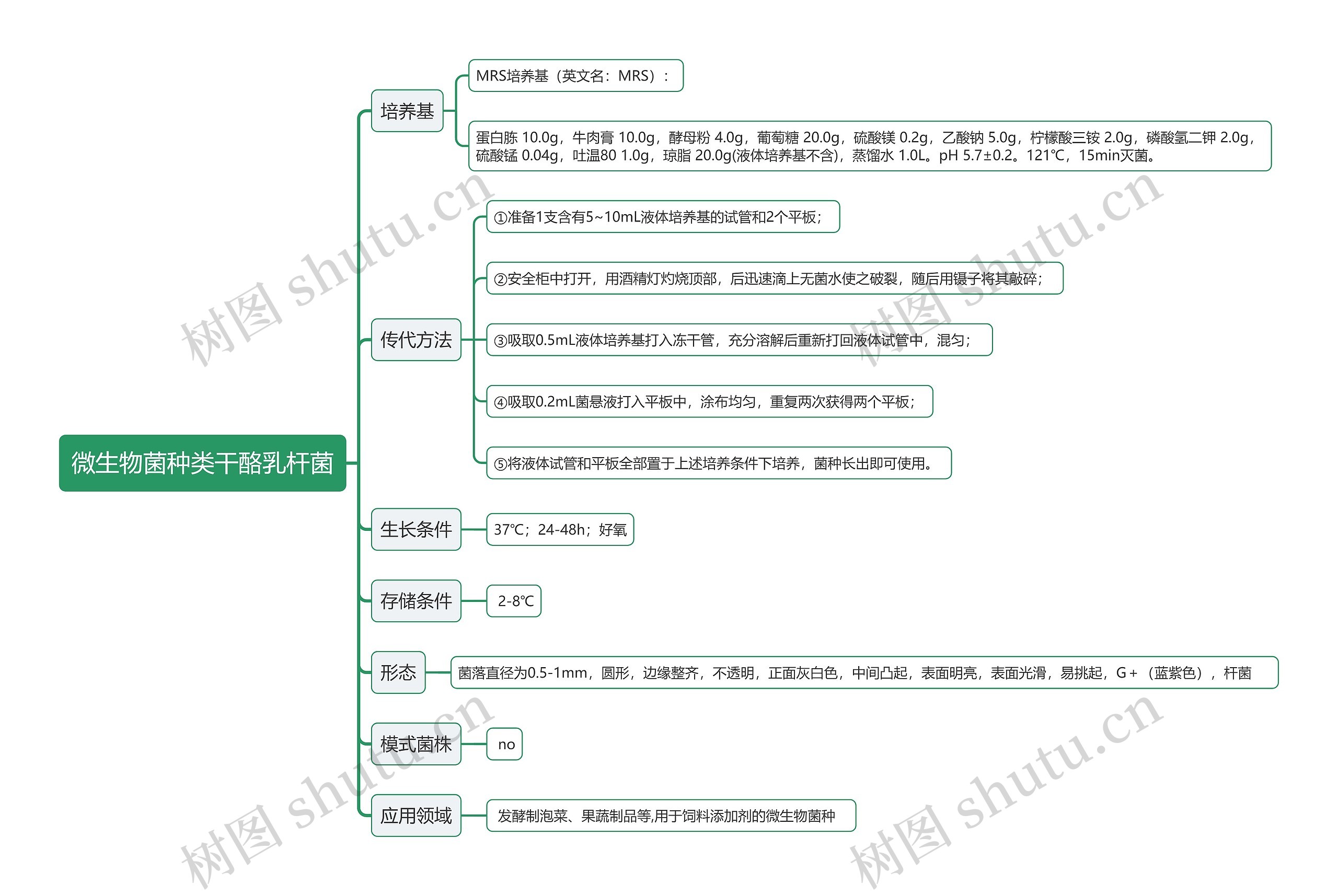 微生物菌种类干酪乳杆菌思维导图