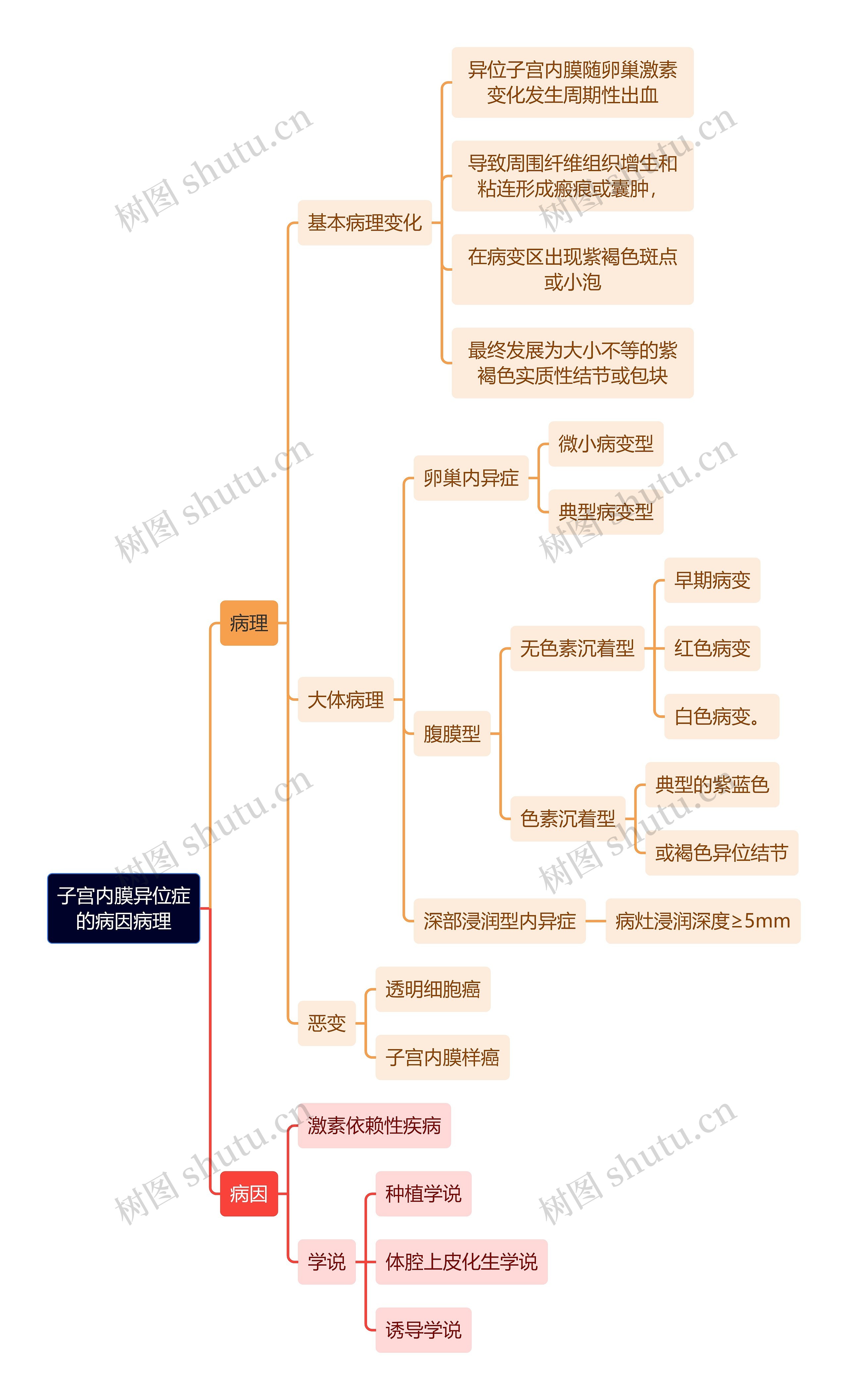 医学知识子宫内膜异位症的病因病理思维导图