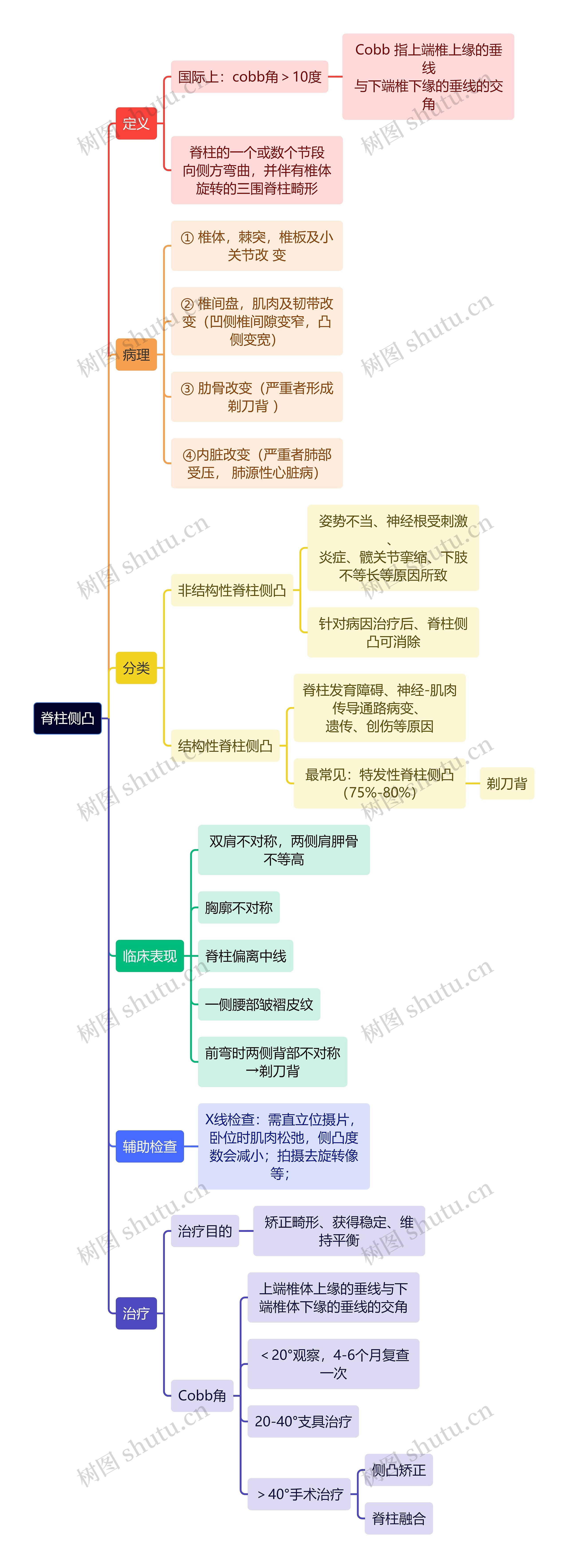 骨学知识脊柱侧凸思维导图