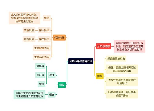 医学知识环境污染物体内过程思维导图