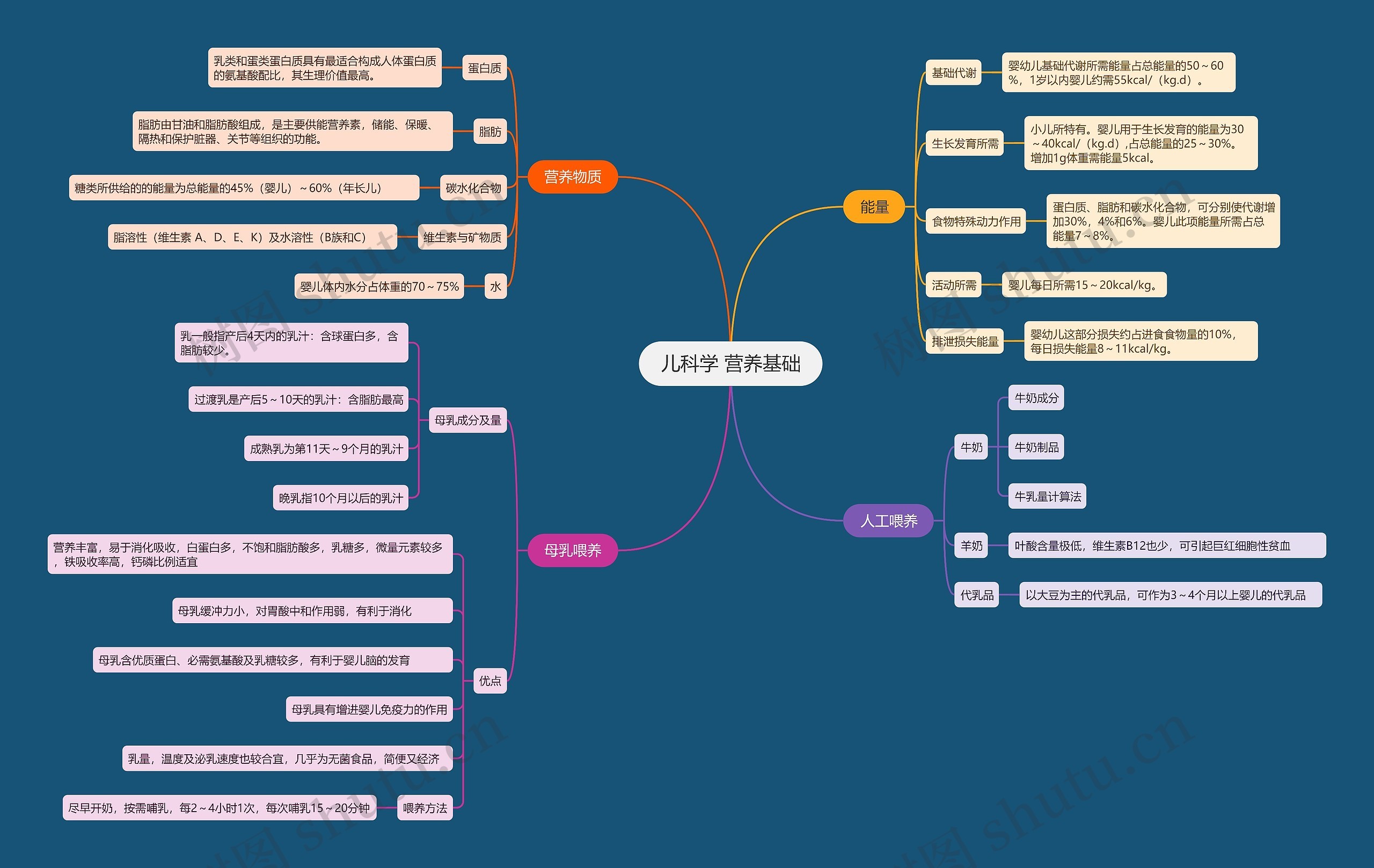 儿科学 营养基础思维导图