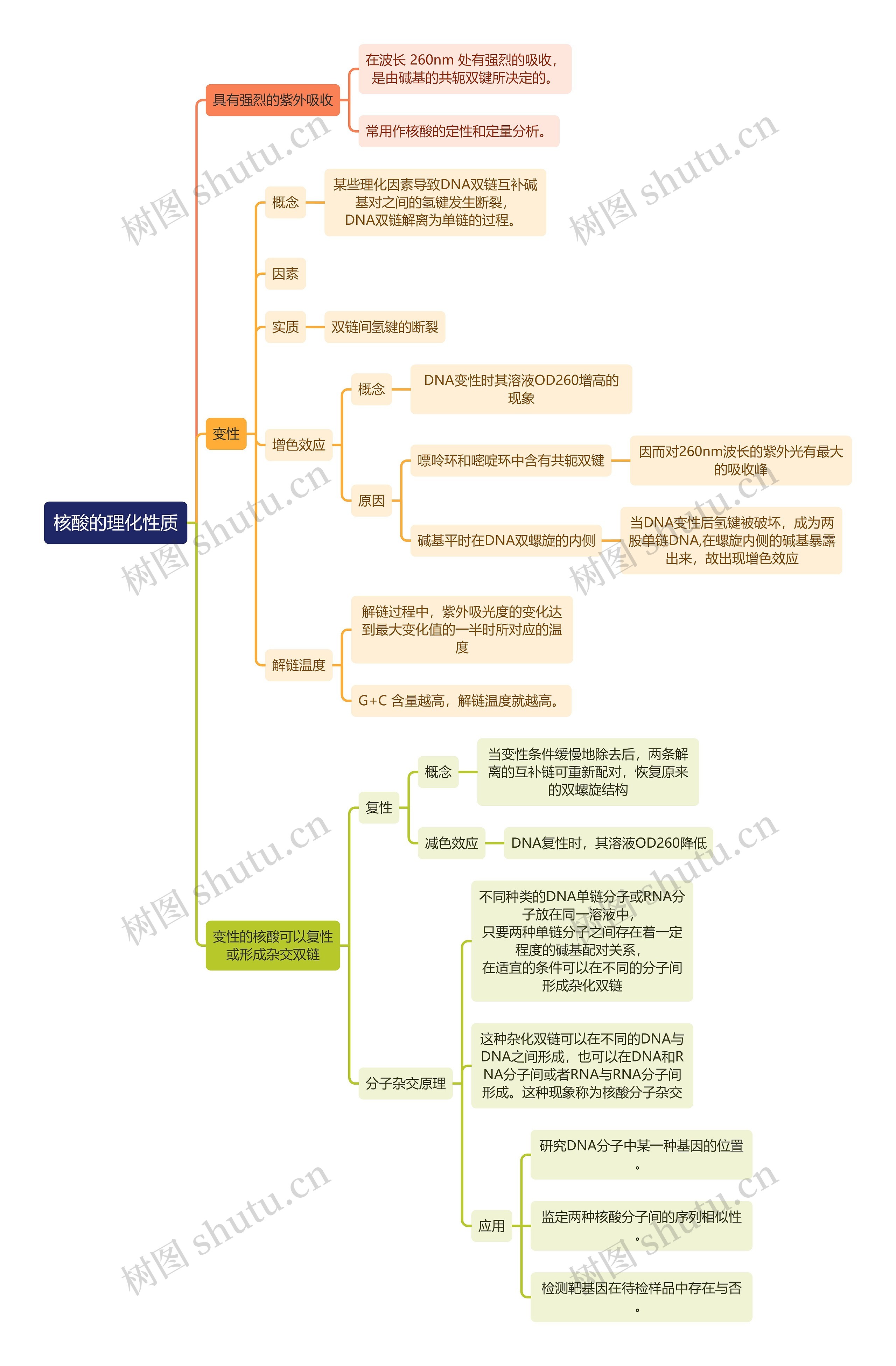 生化知识核酸的理化性质思维导图高清图 生化知识核酸的理化性质思维导图