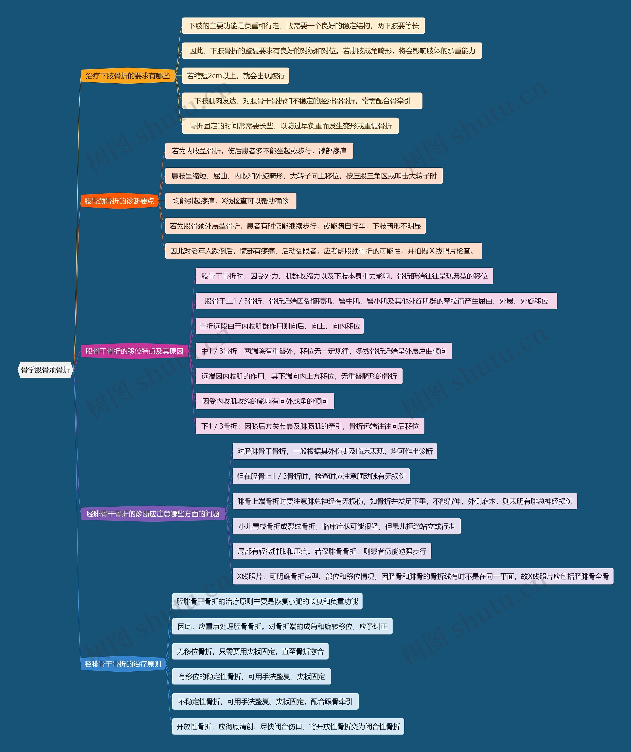 骨学股骨颈骨折思维导图