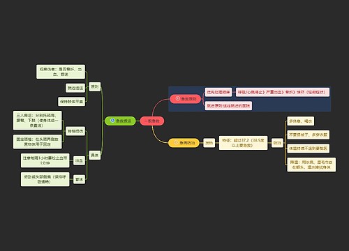 医学知识一般急救思维导图
