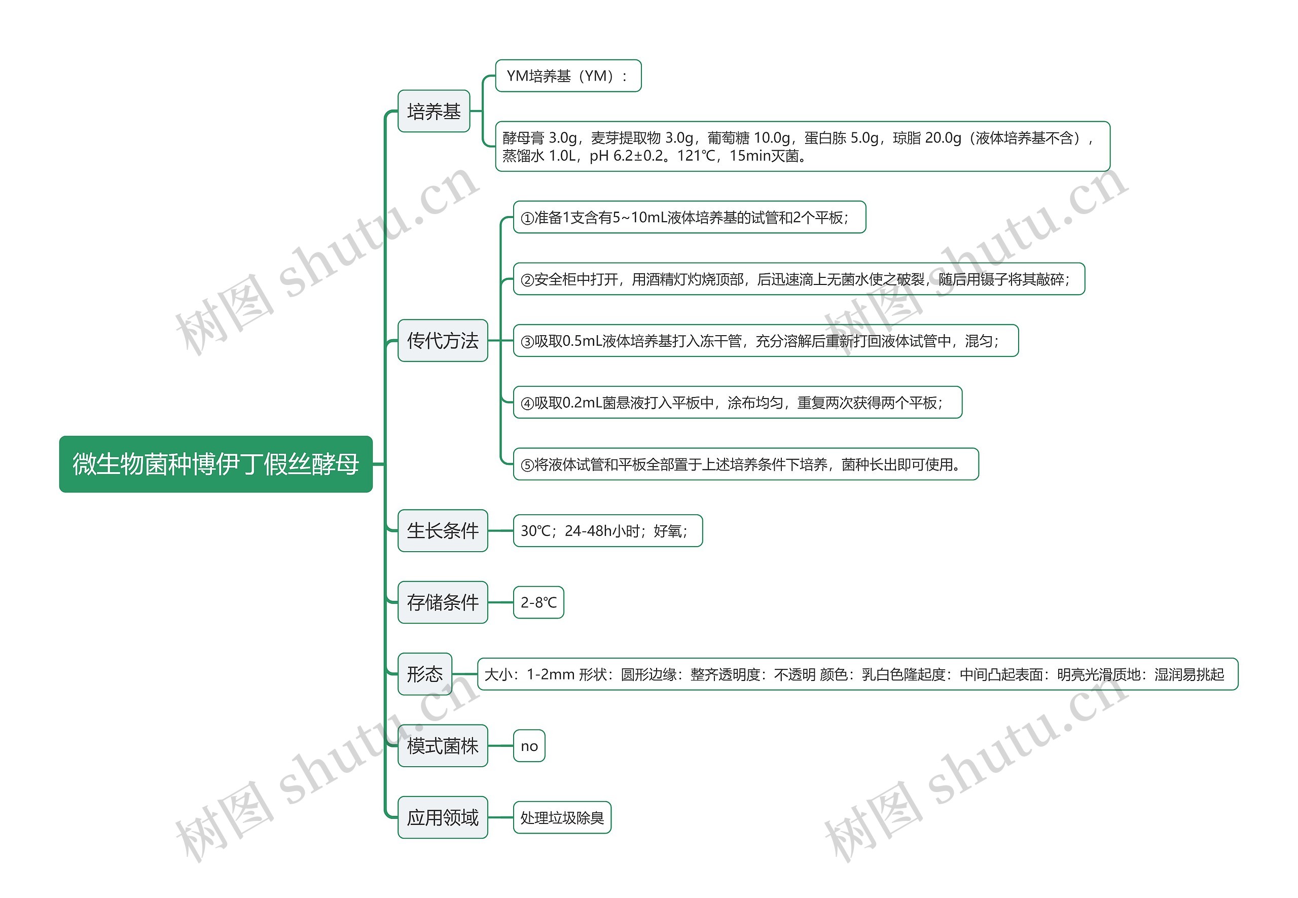 微生物菌种博伊丁假丝酵母思维导图