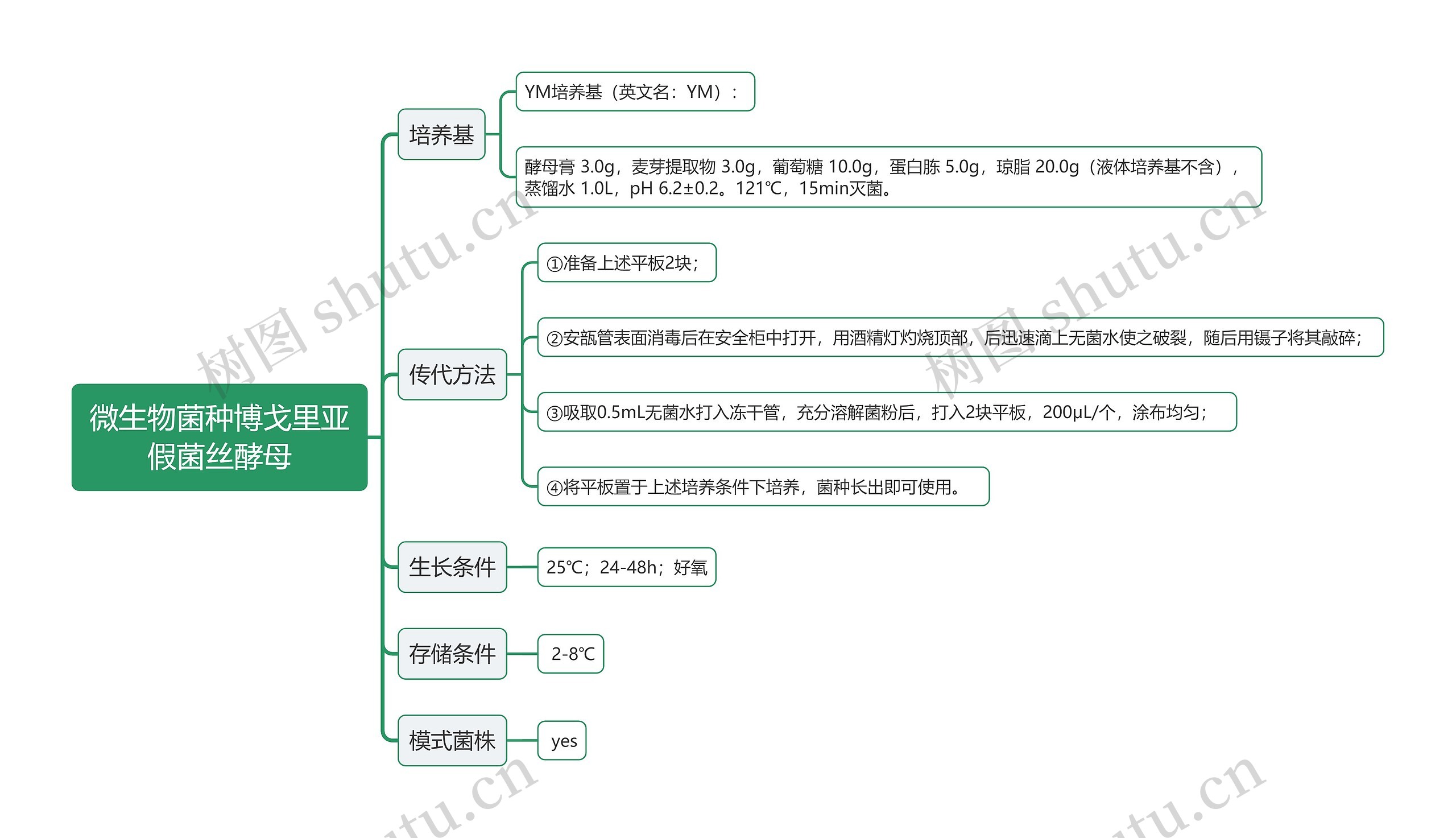微生物菌种博戈里亚假菌丝酵母思维导图