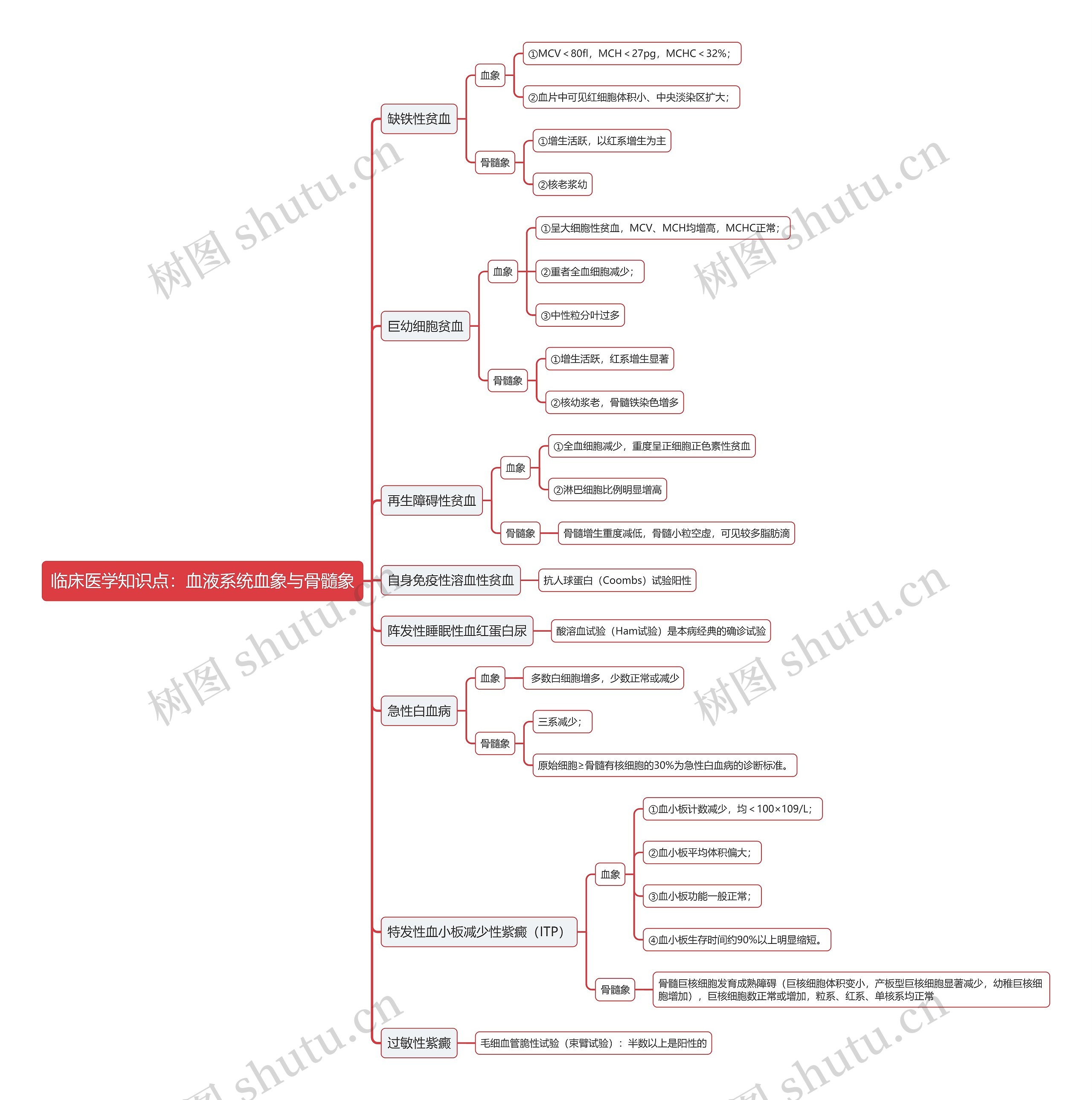 临床医学知识点：血液系统血象与骨髓象思维导图