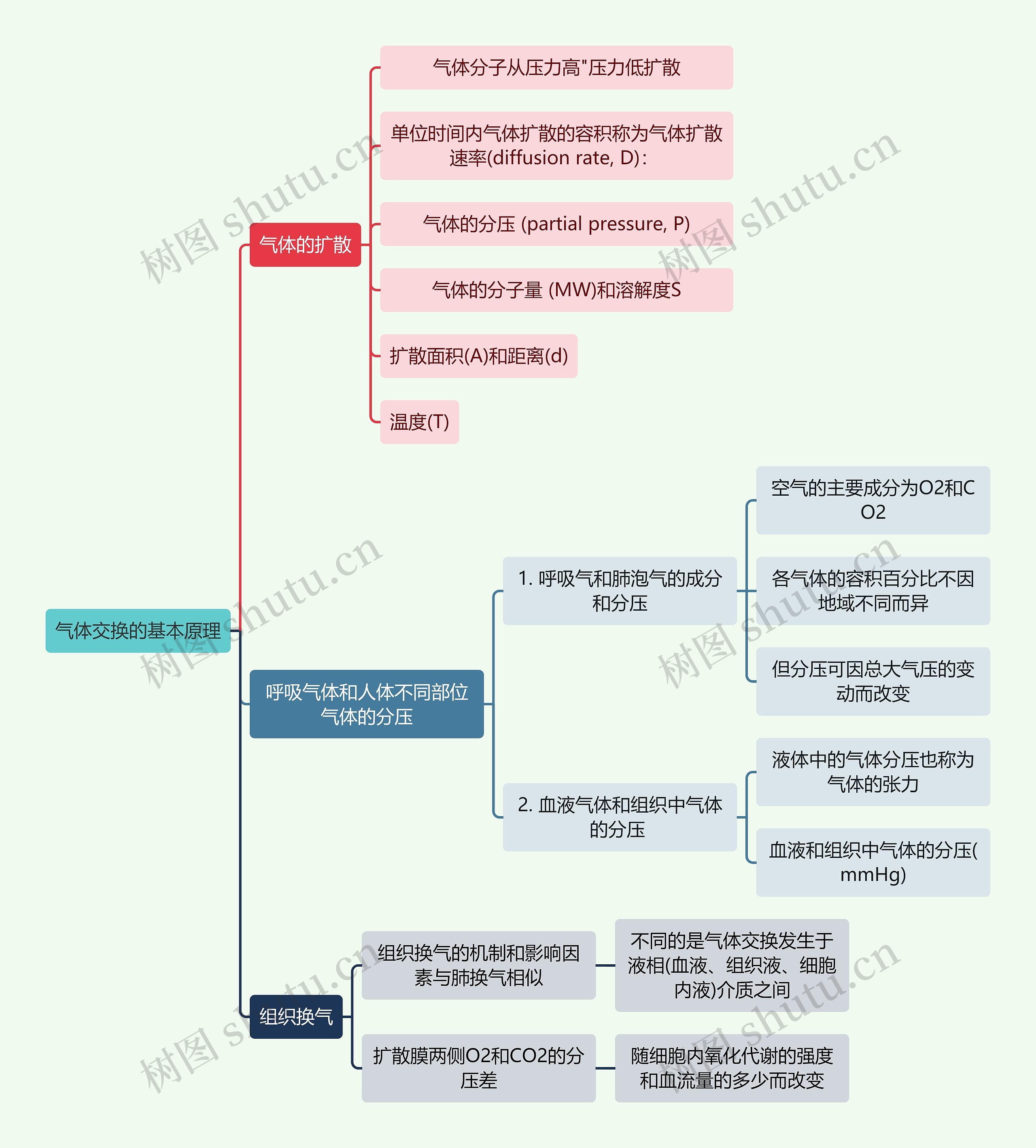 医学知识气体交换的基本原理思维导图