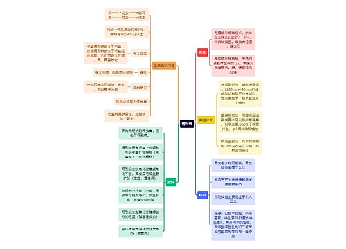 医学知识蠕形螨思维导图