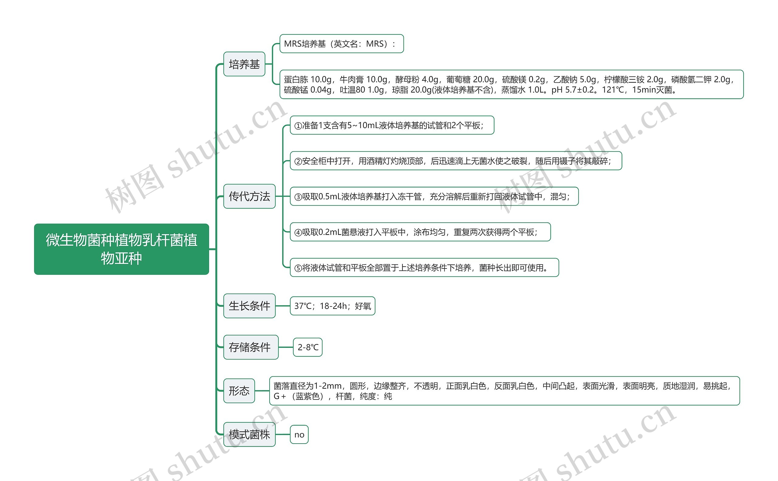 微生物菌种植物乳杆菌植物亚种思维导图