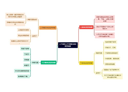 医学知识上下颌及上下牙槽后神经阻滞麻醉思维导图