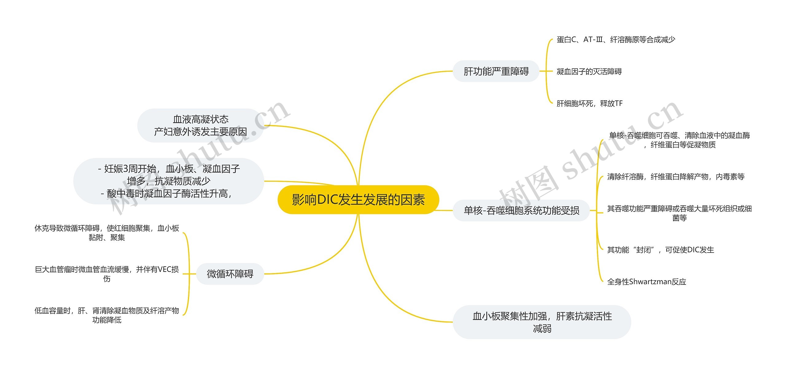 医学知识影响DIC发生发展的因素思维导图